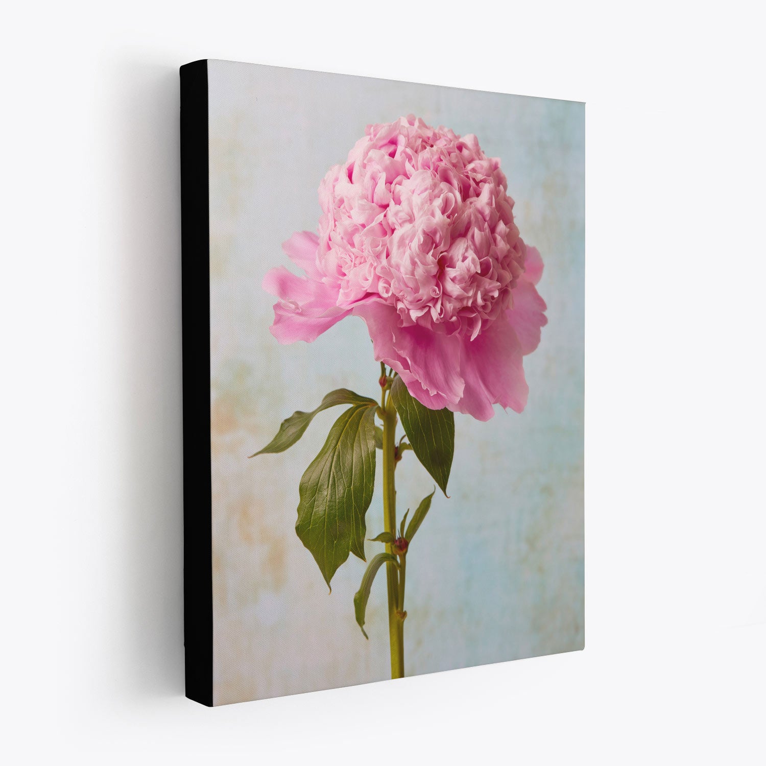 This Peony Sister Portraits - 3 Piece canvas print highlights a detailed pink peony with lush petals and green leaves on a textured background, elegantly framed in black.