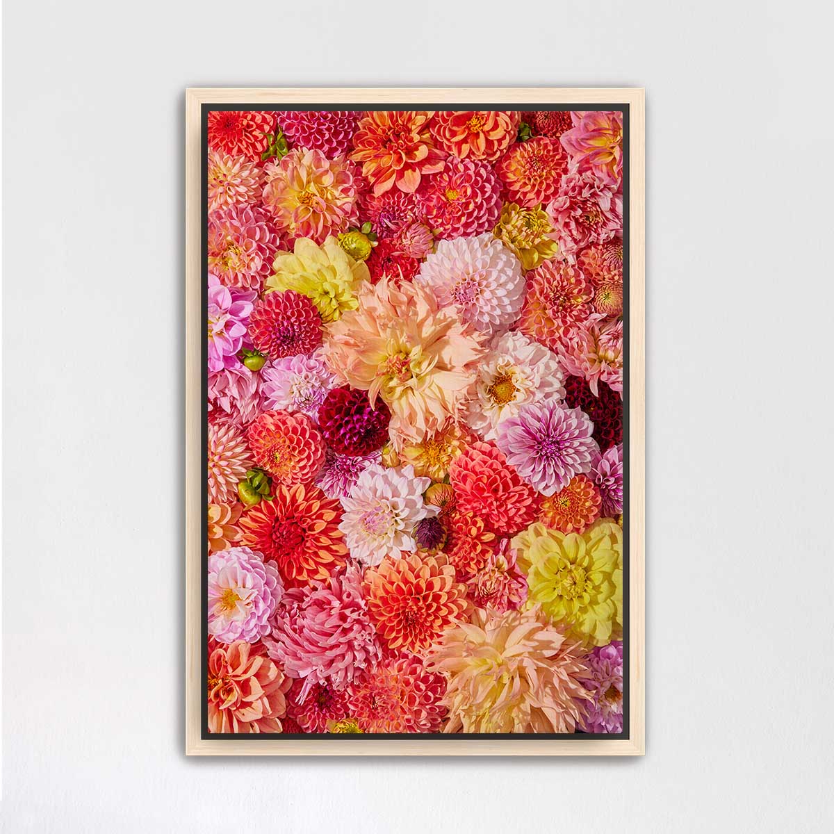 The image is a vibrant and colorful collage of various flowers, including dahlias, peonies, and other blooms, arranged in a visually appealing manner.