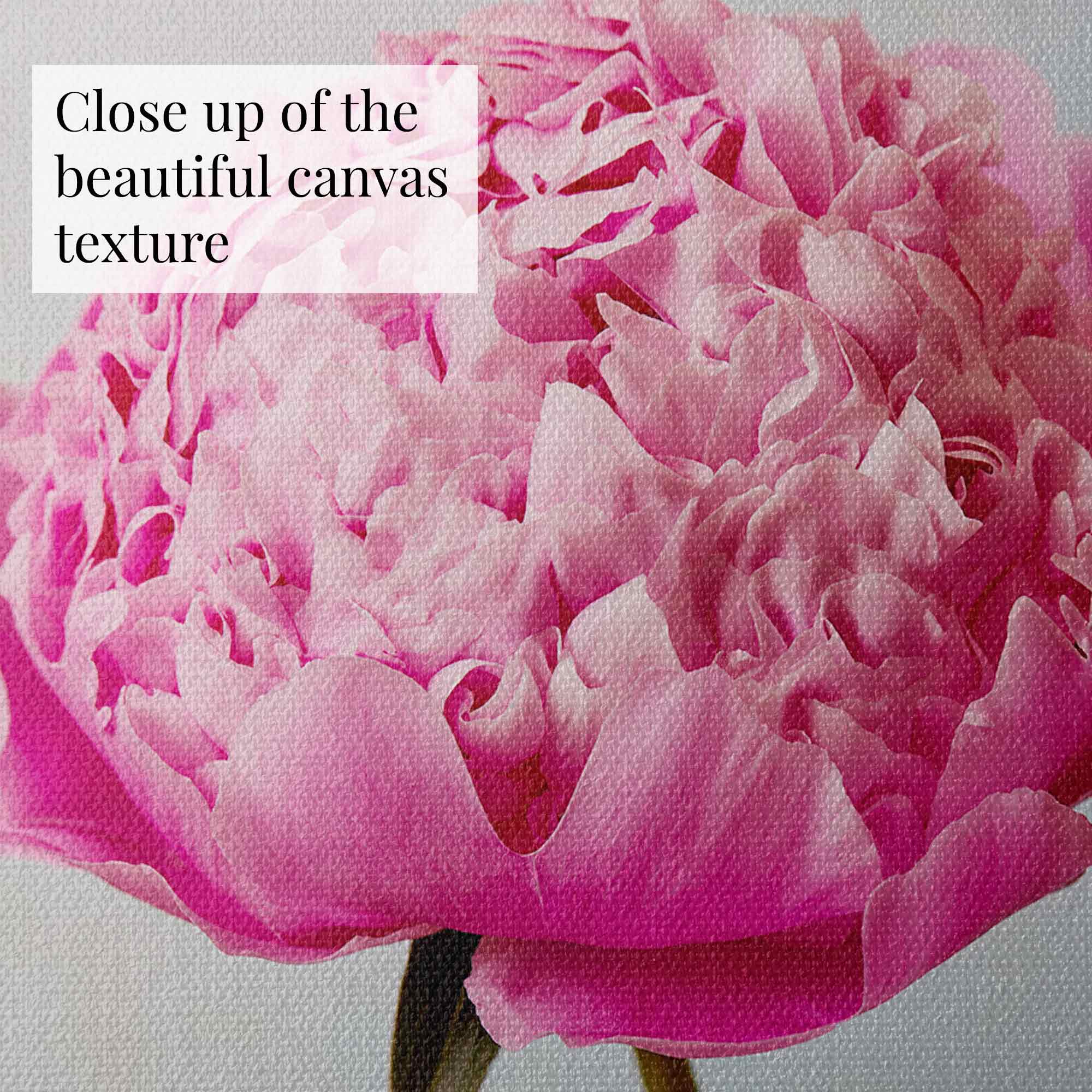 A close-up of a pink peony with visible canvas texture evokes timeless romance, with a white text box in the top left corner reading, Close up of the beautiful canvas texture. Part of the Peony Sister Portraits - 3 Piece collection.