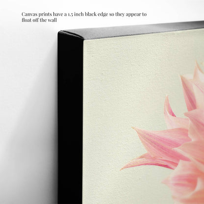 The canvas print Elegance In Pink has a 1.5-inch black edge that gives it a floating wall effect. It beautifully displays delicate pink Café au Lait dahlia petals on a light background, highlighting the texture of the fine art giclee canvas print.