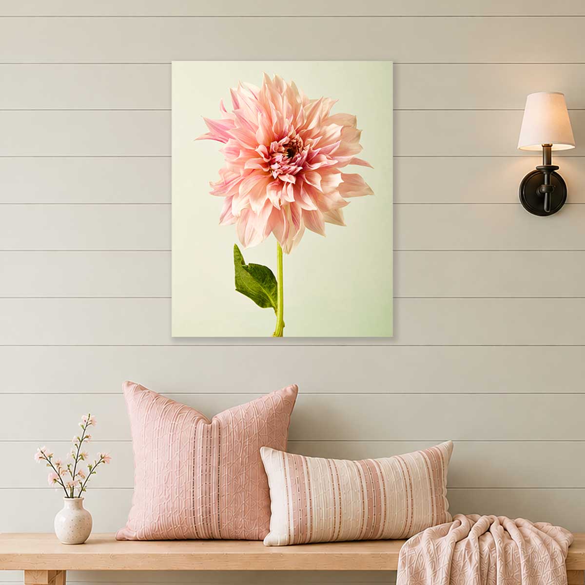 Elegance In Pink | Dahlia Wall Art Canvas