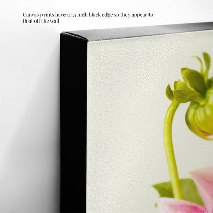 Close-up of the Budding Beauty Dahlia canvas wall art with a 1.5-inch black edge, showcasing a floral design that appears to float off the wall.