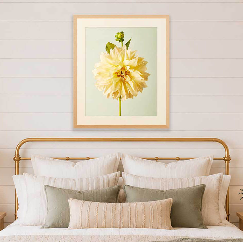 Champagne Petals | Dahlia Wall Art Print