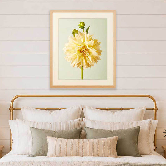 Champagne Petals Dahlia Wall Art Print with gold accents, fine art giclée paper print on cream background