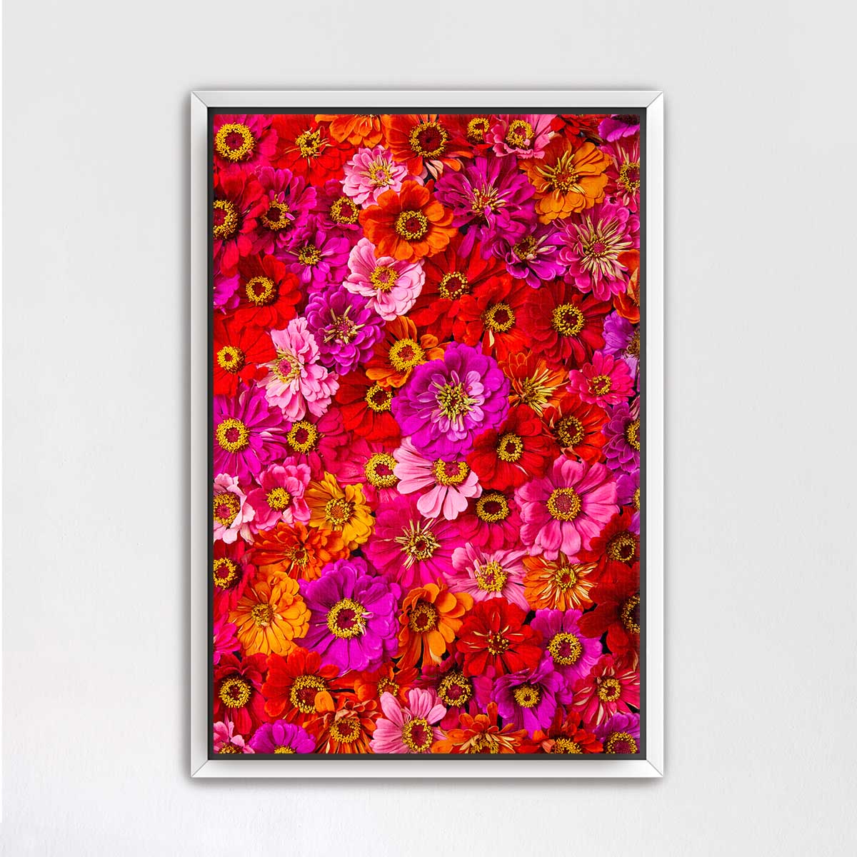 The image is a vibrant collage of various colorful flowers, including red, orange, pink, and yellow blooms, arranged in a visually striking manner.