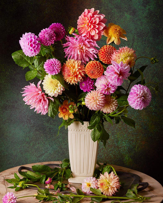 The Garden's Grand Finale showcases a vibrant bouquet of pink, orange, and purple dahlias in a cream vase on a circular wooden table with scattered leaves and garden shears, all set against a dark, textured backdrop.