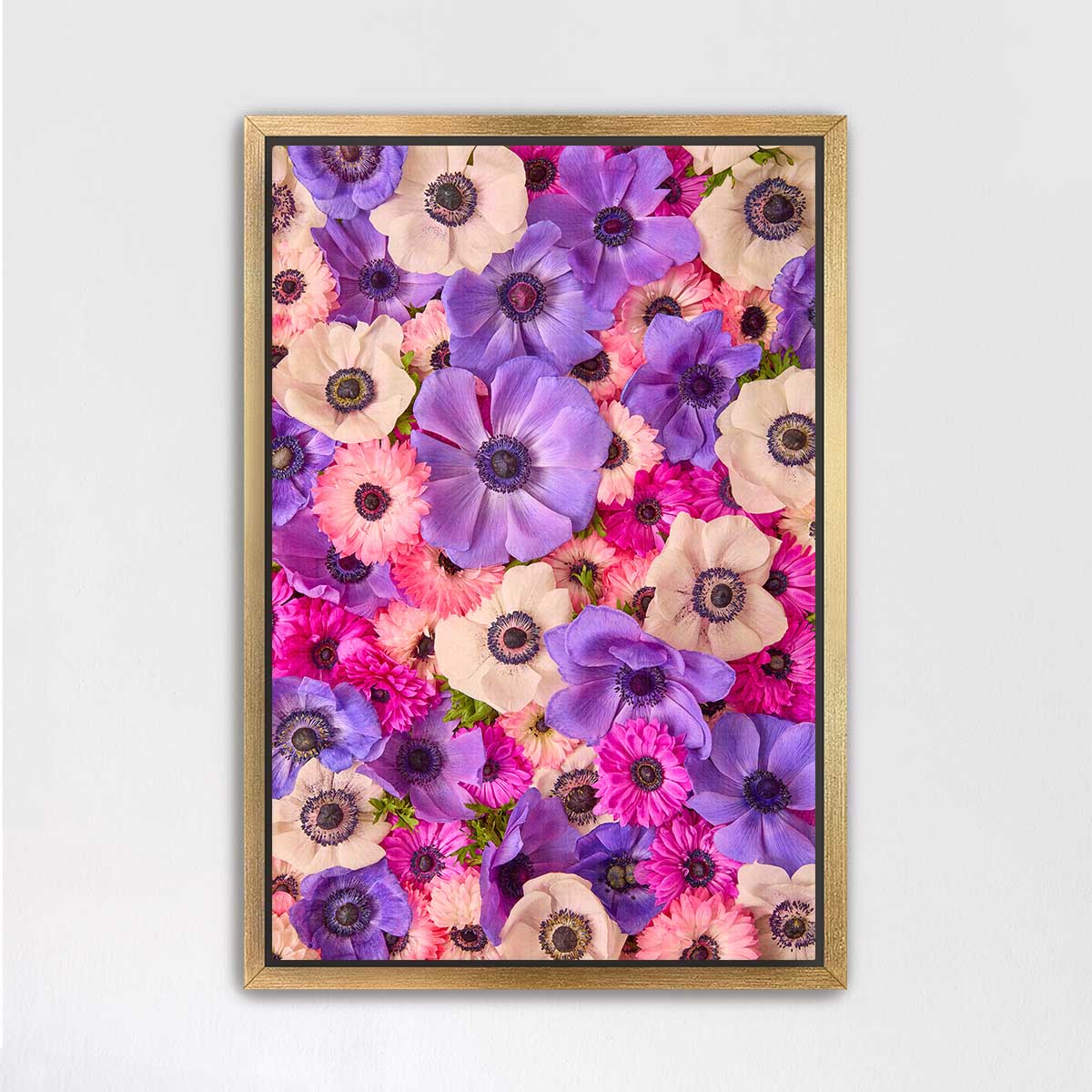 Purple Passion