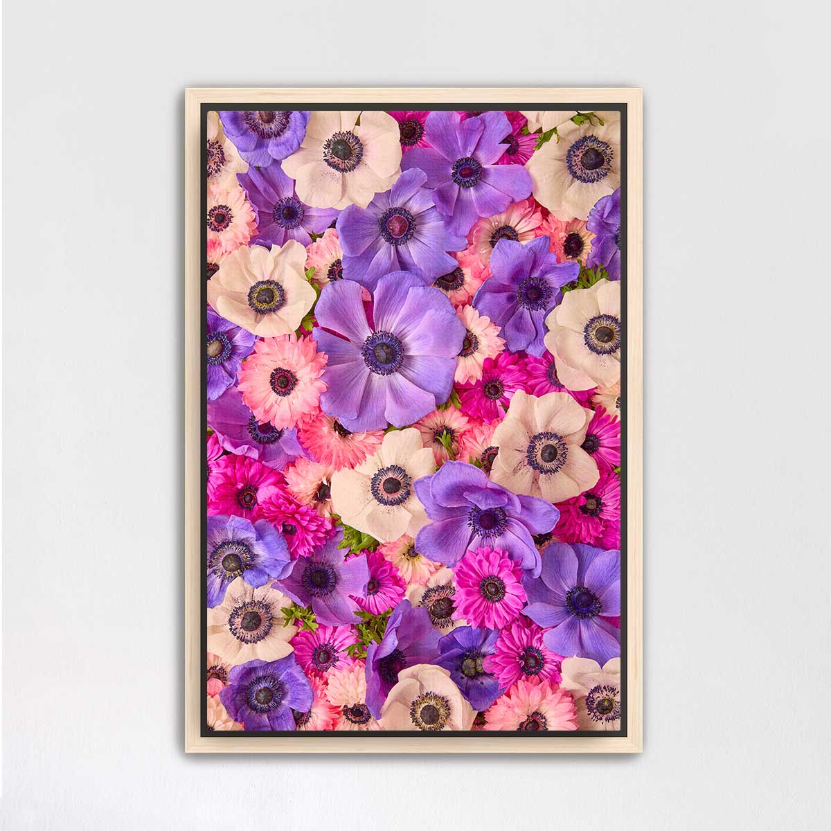 Purple Passion