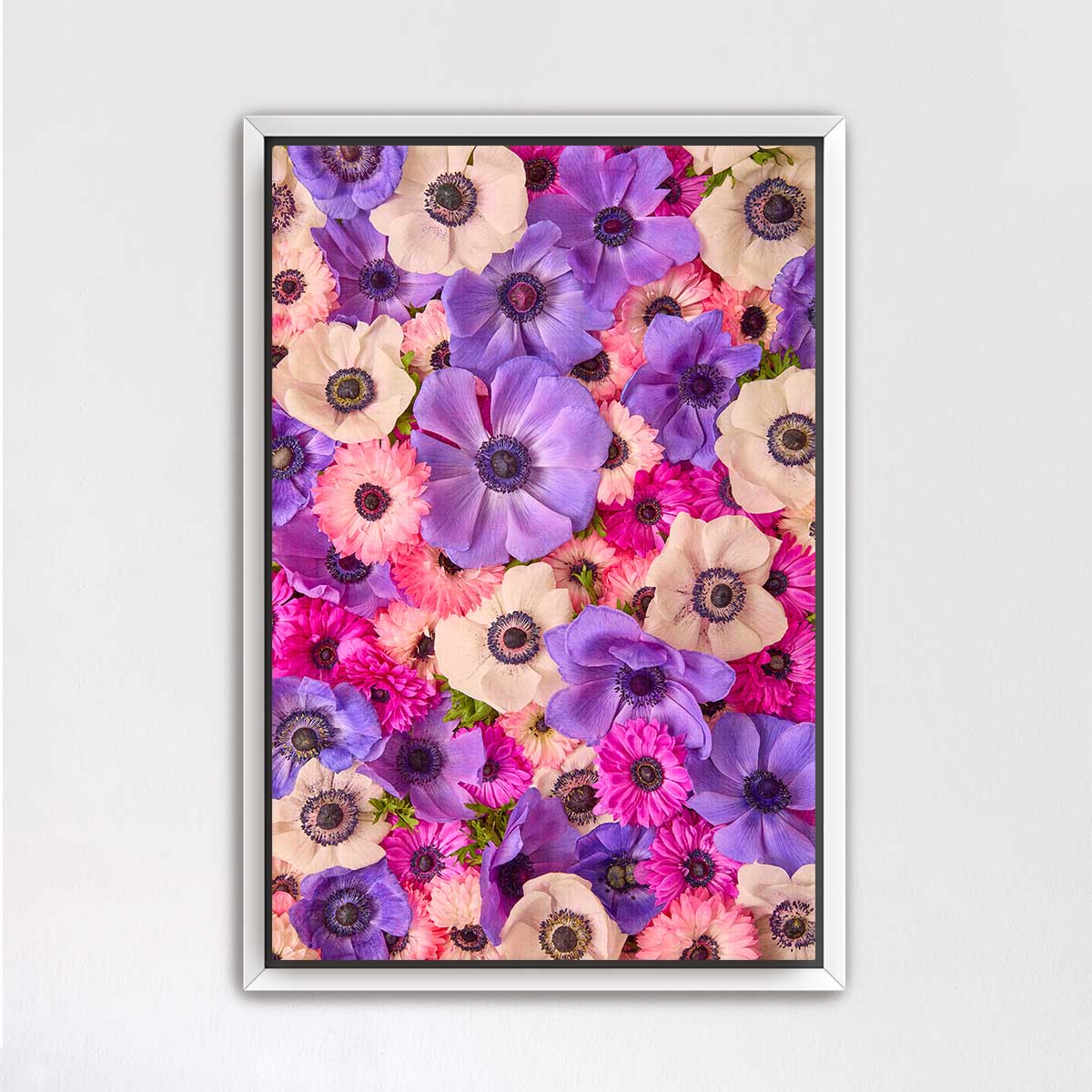 Purple Passion