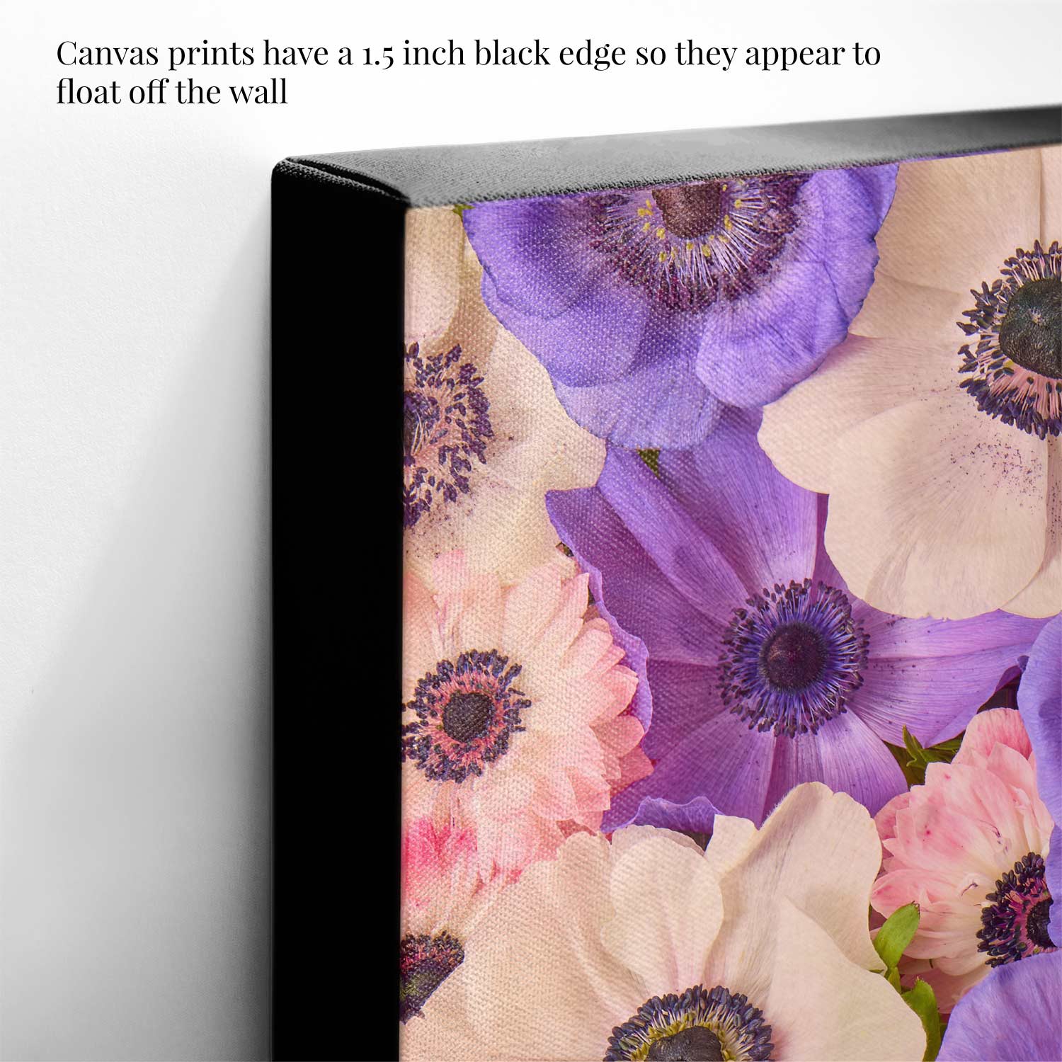 Anemone Portraits 3 Piece Art Set