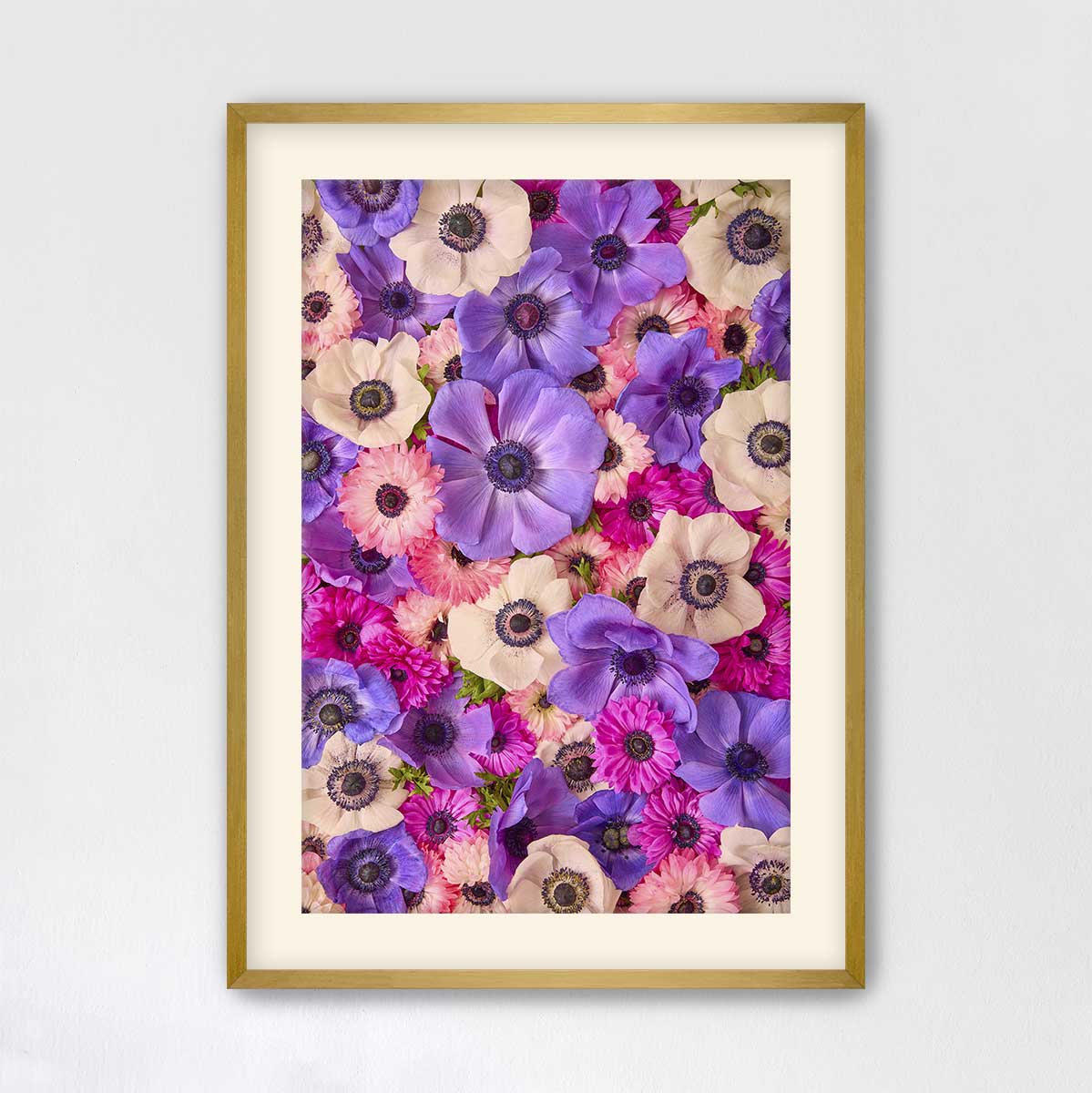 Purple Passion
