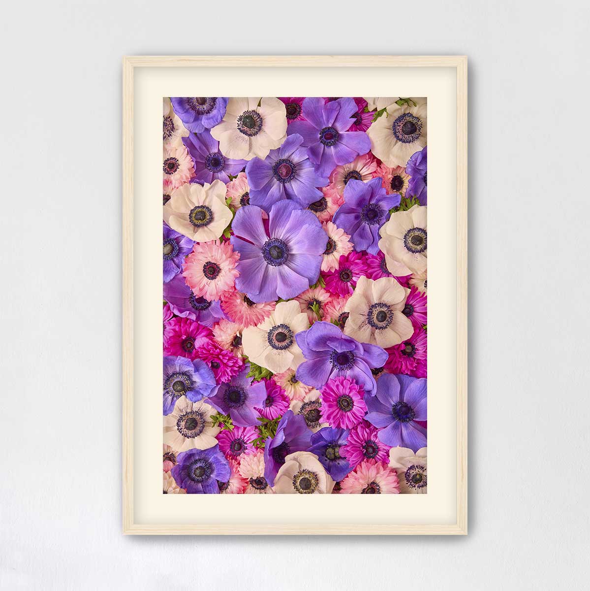 Purple Passion