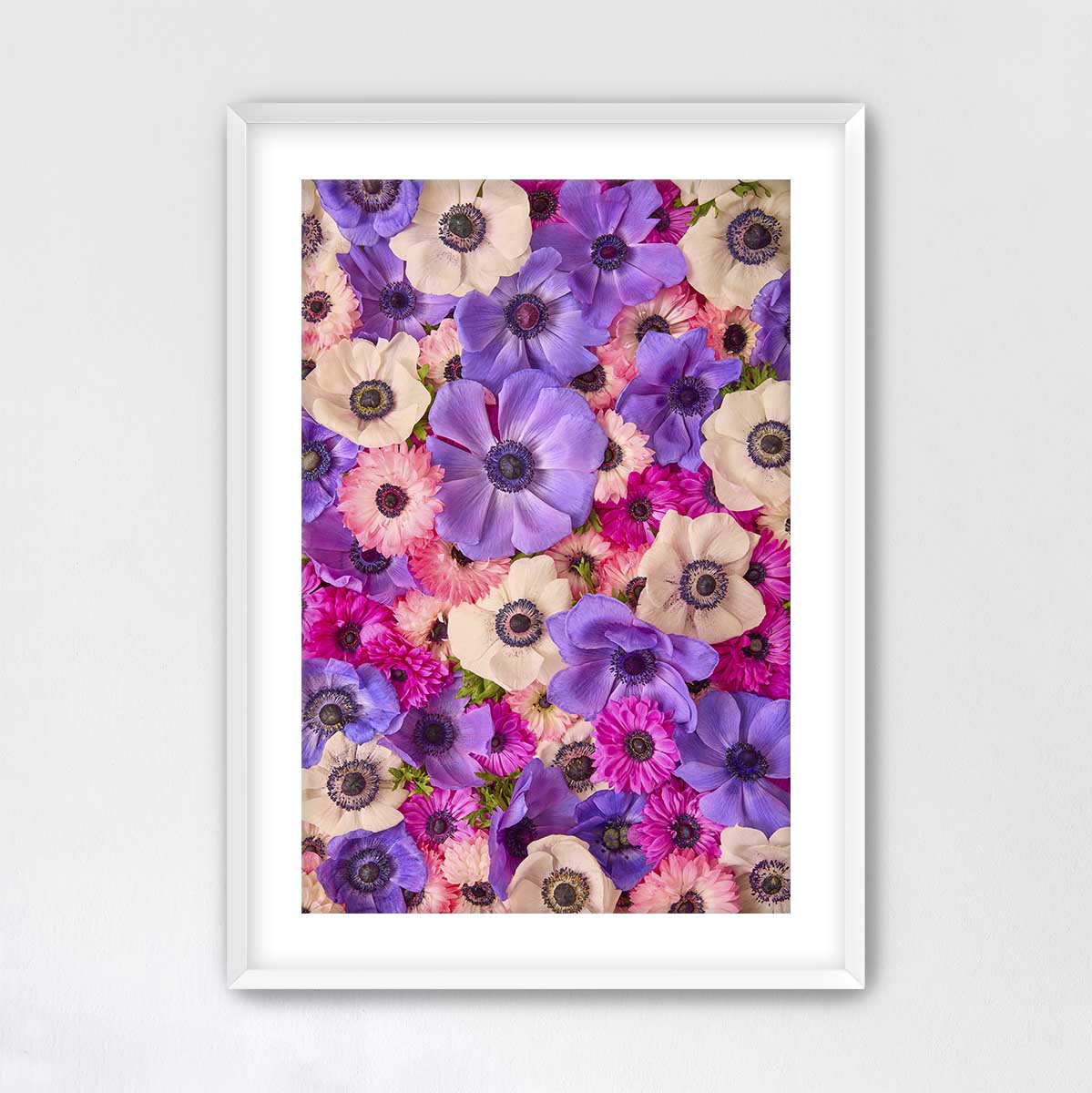Purple Passion