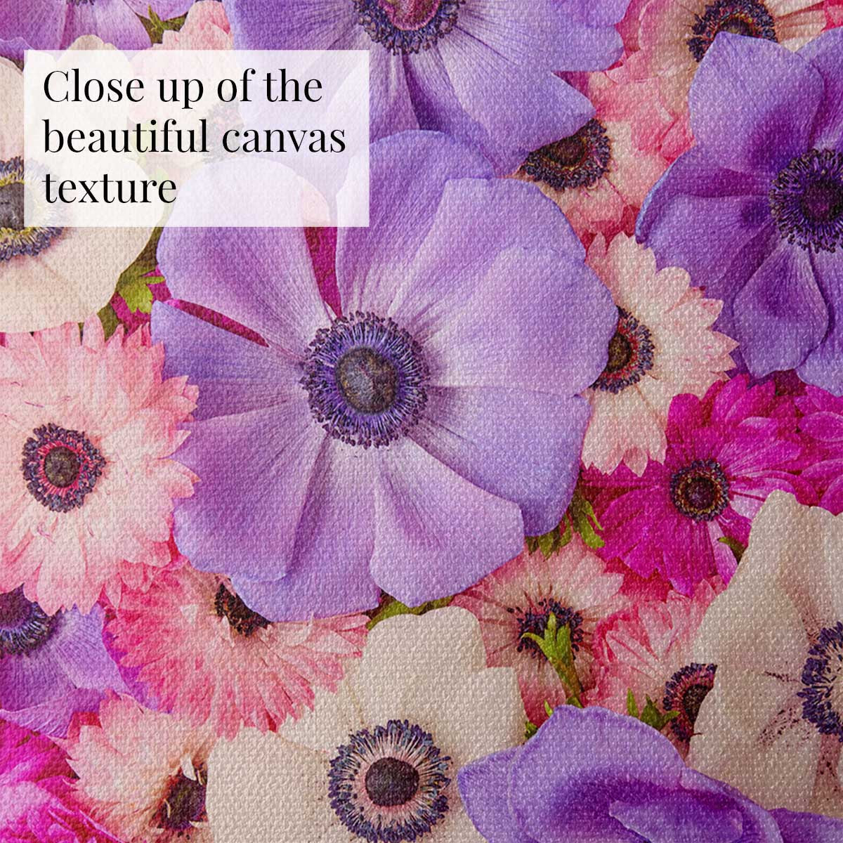 Anemone Portraits 3 Piece Art Set