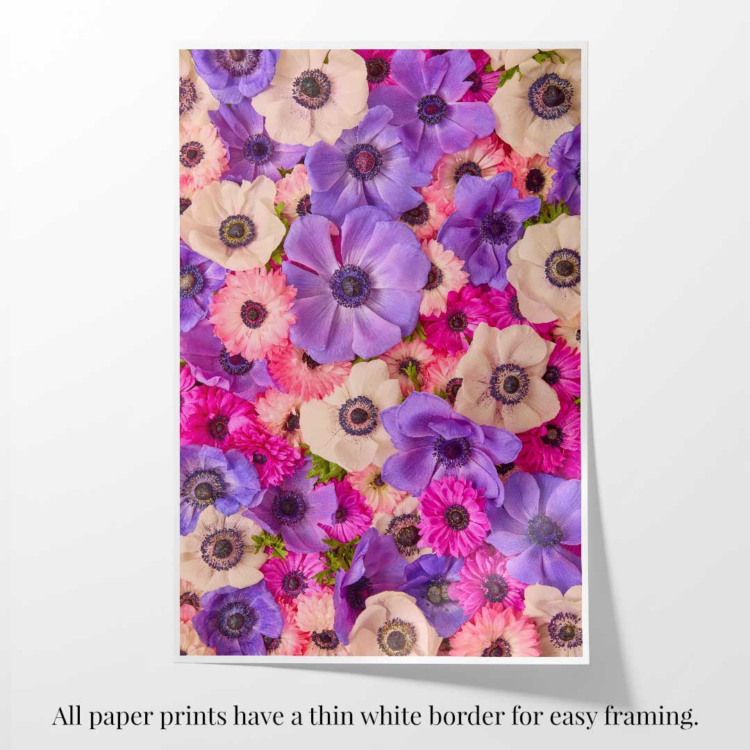 Purple Passion
