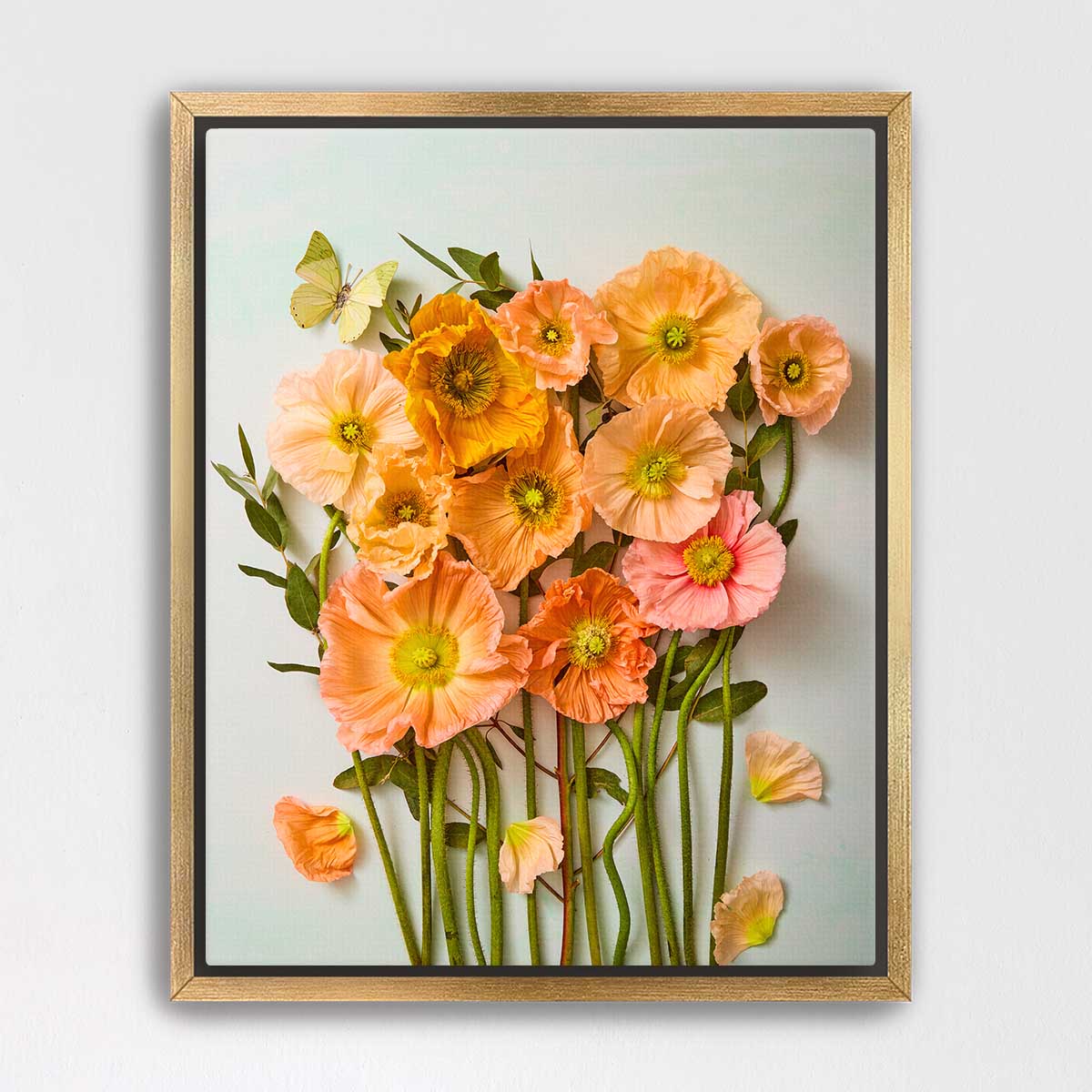Italian Poppy Garden