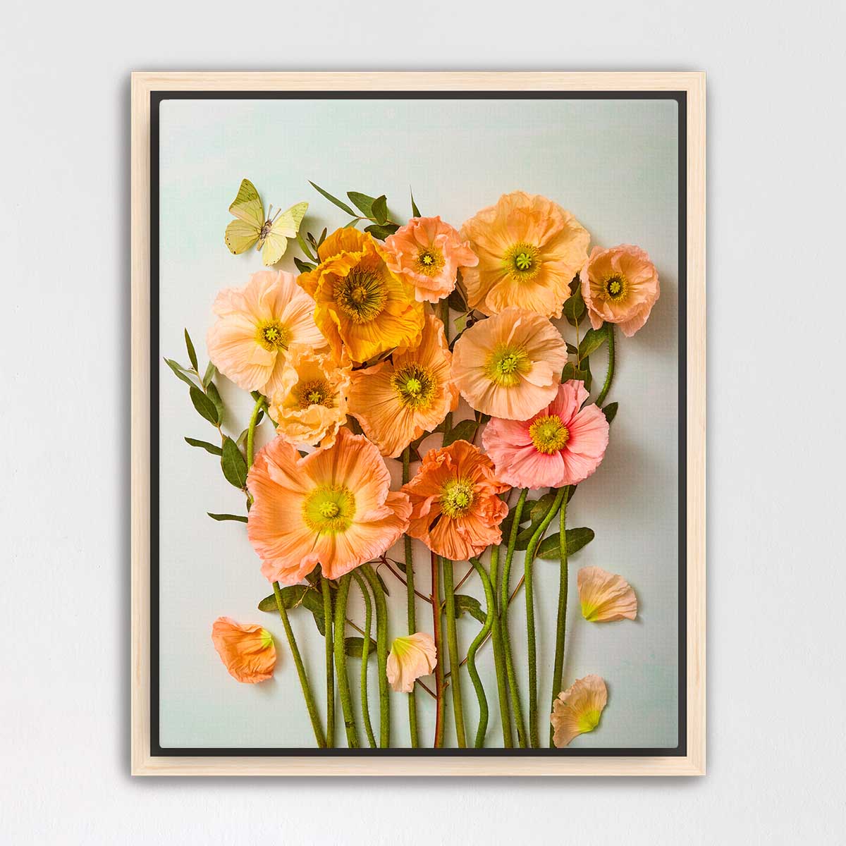 Italian Poppy Garden