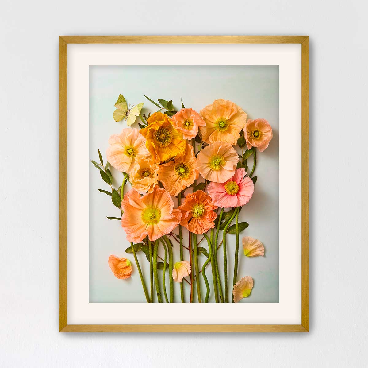 Italian Poppy Garden