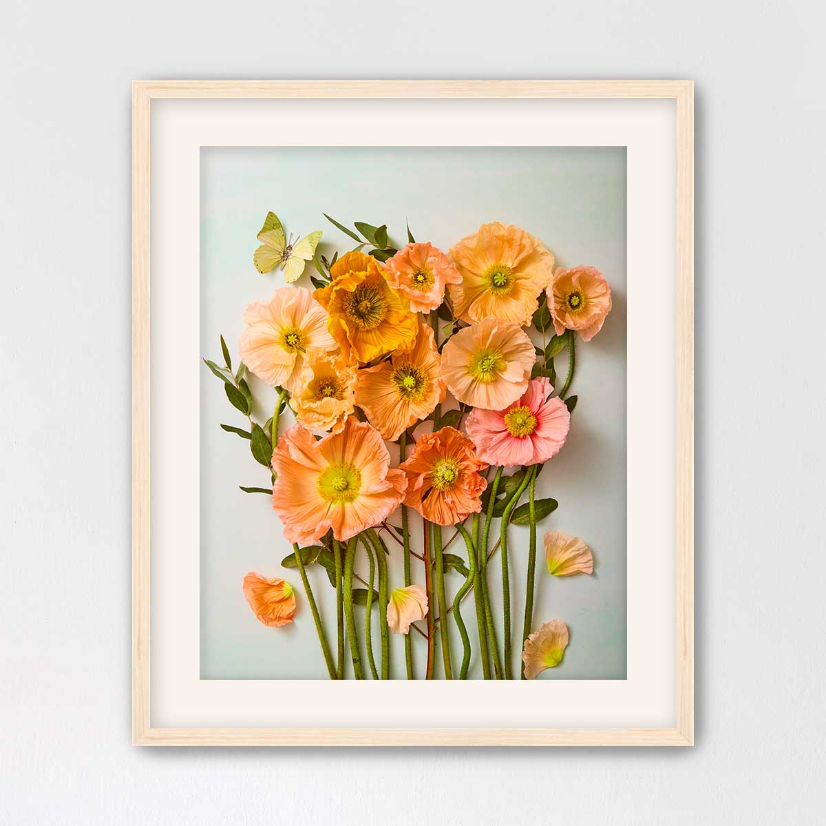 Italian Poppy Garden
