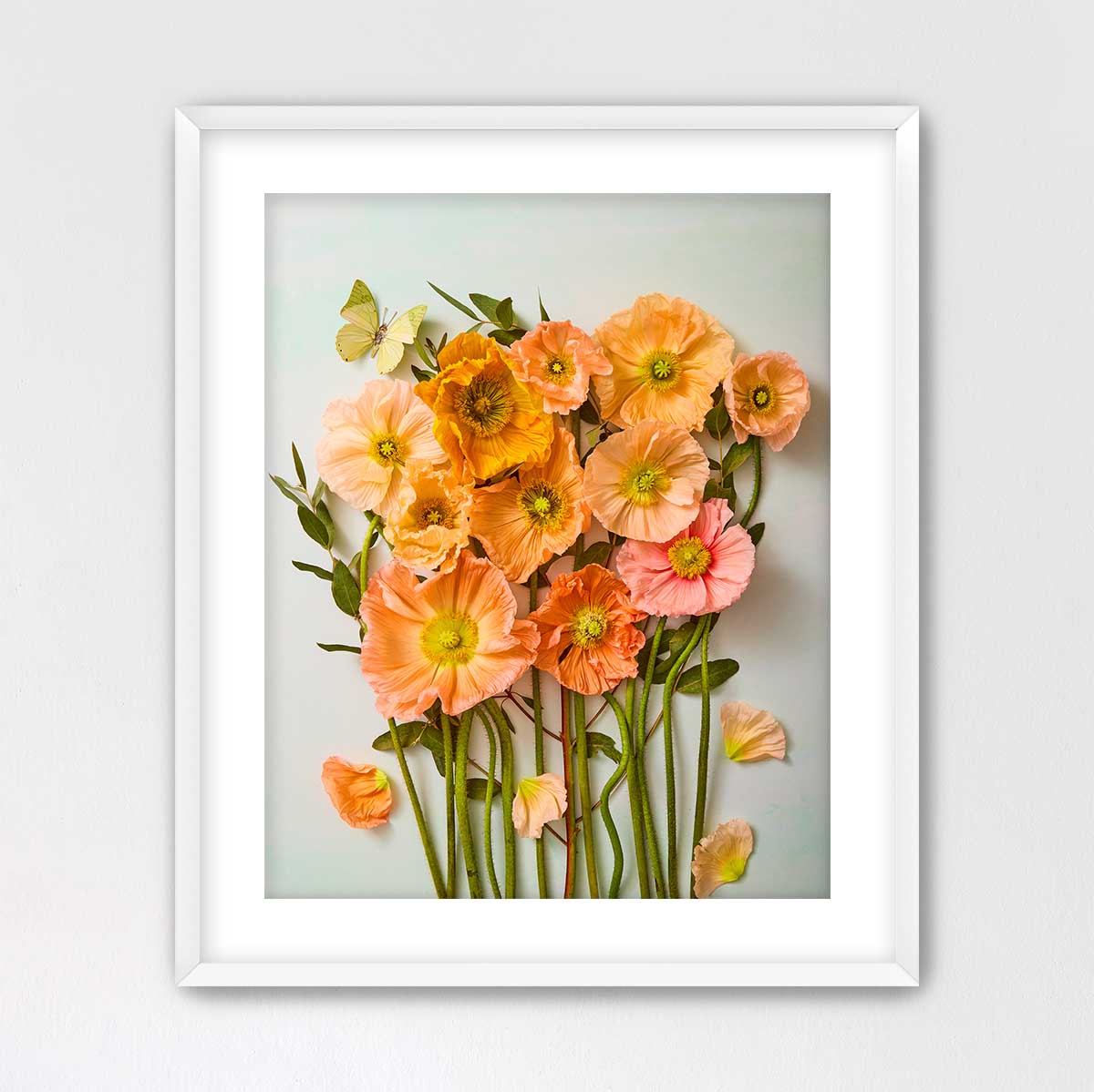 Italian Poppy Garden