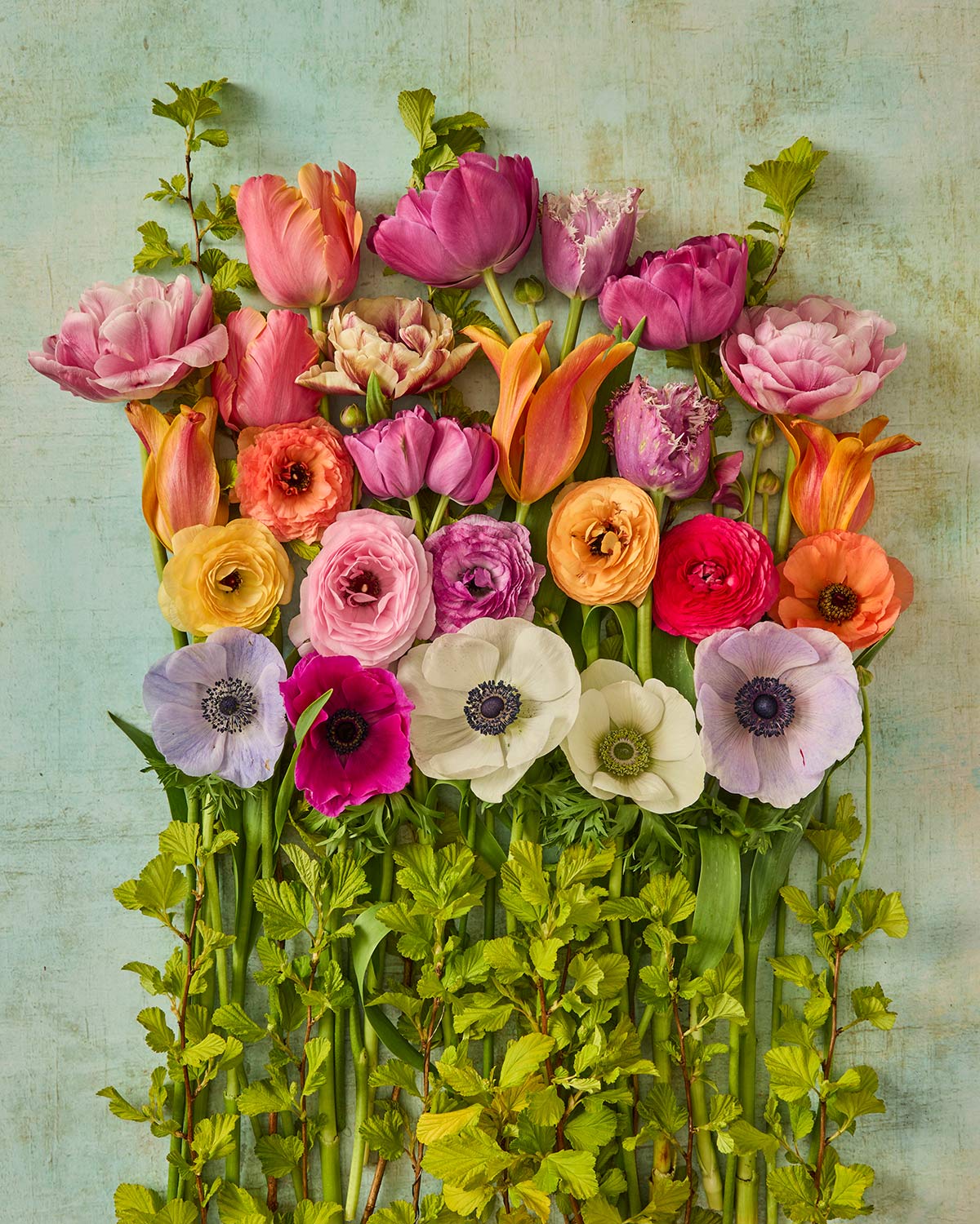 Spring Garden