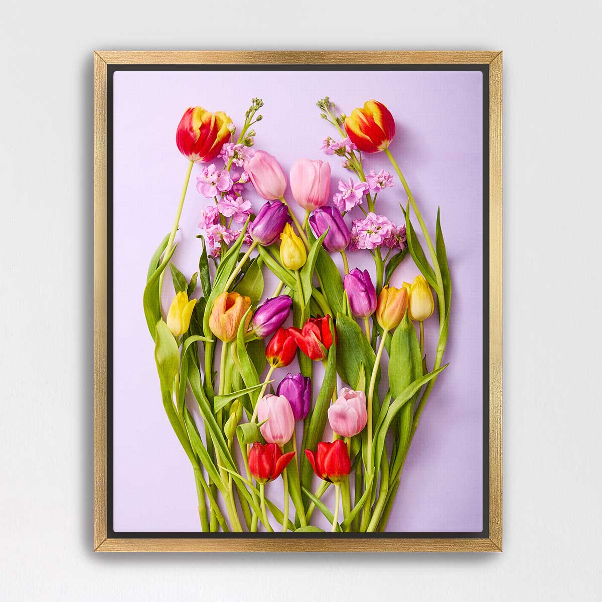 Tulip Garden