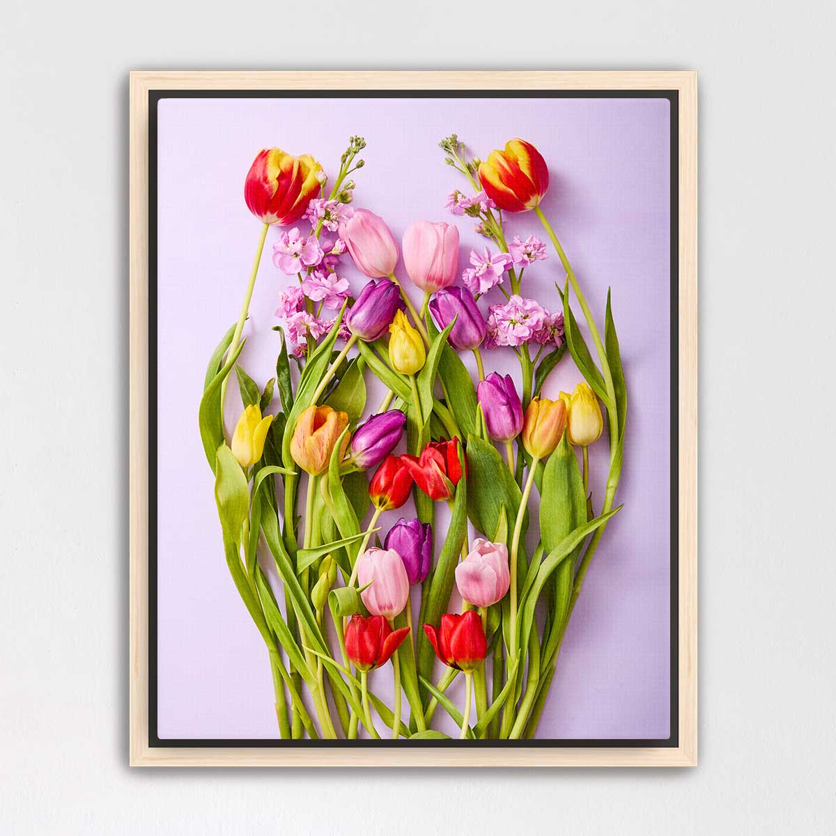 Tulip Garden