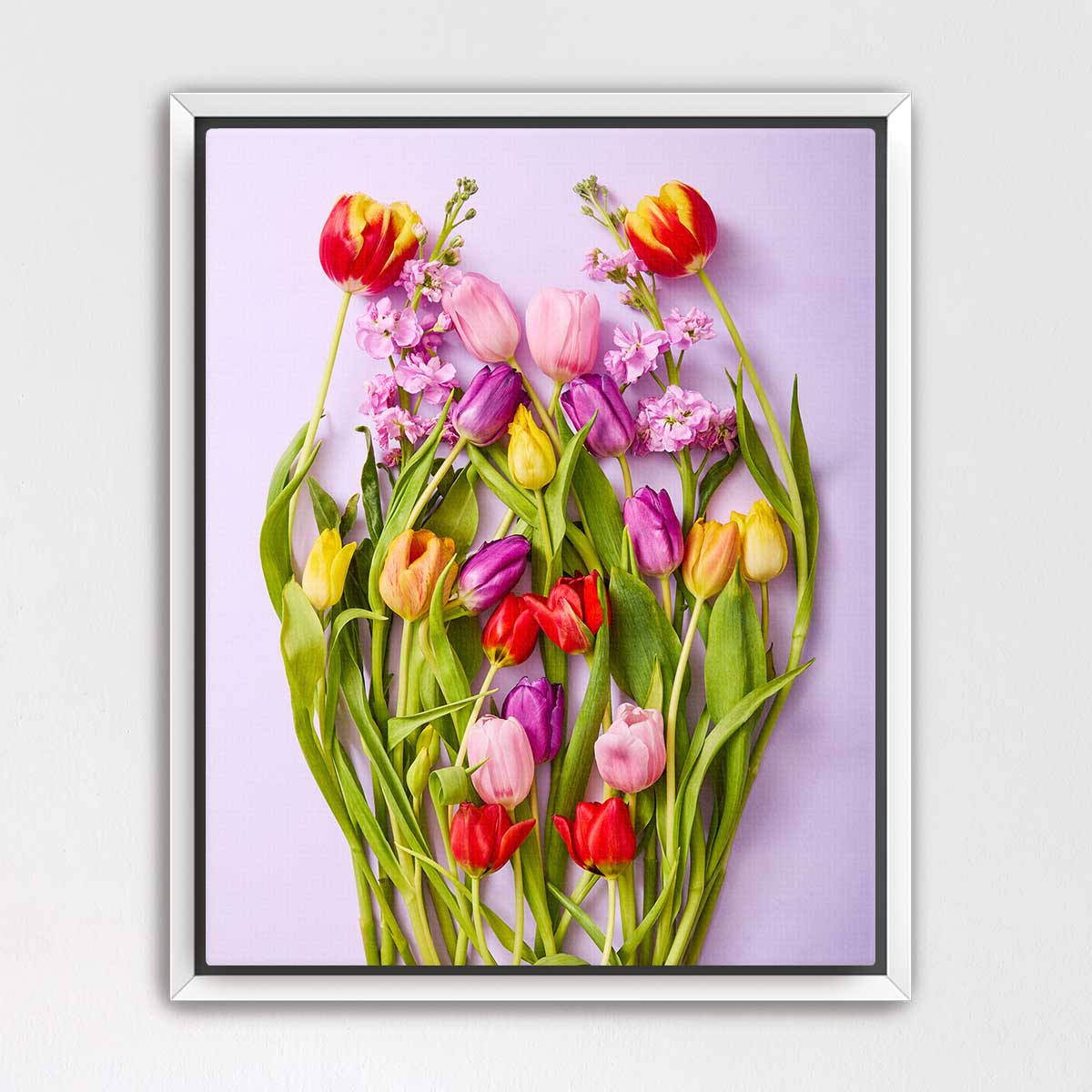 Tulip Garden