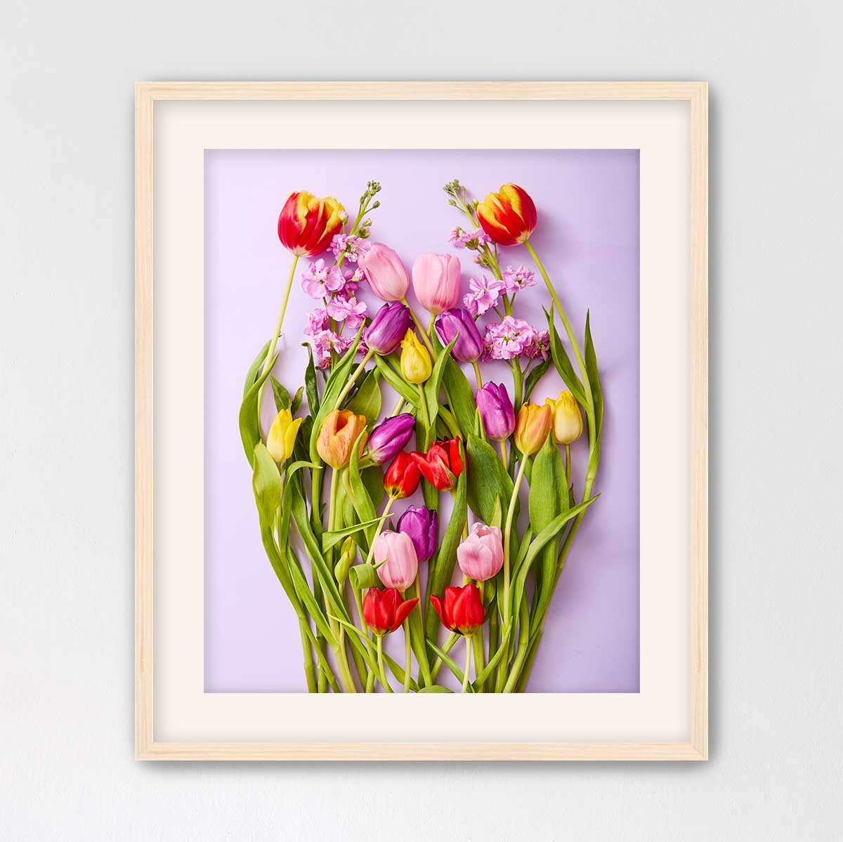Tulip Garden