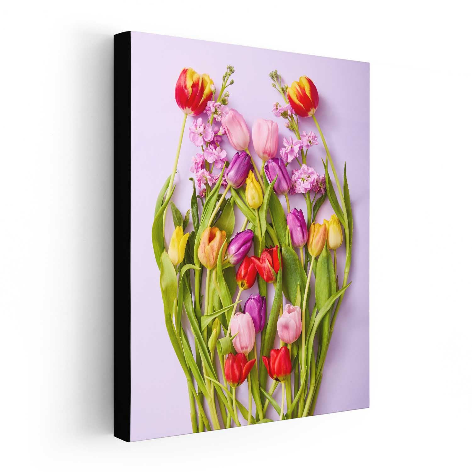 Tulip Garden