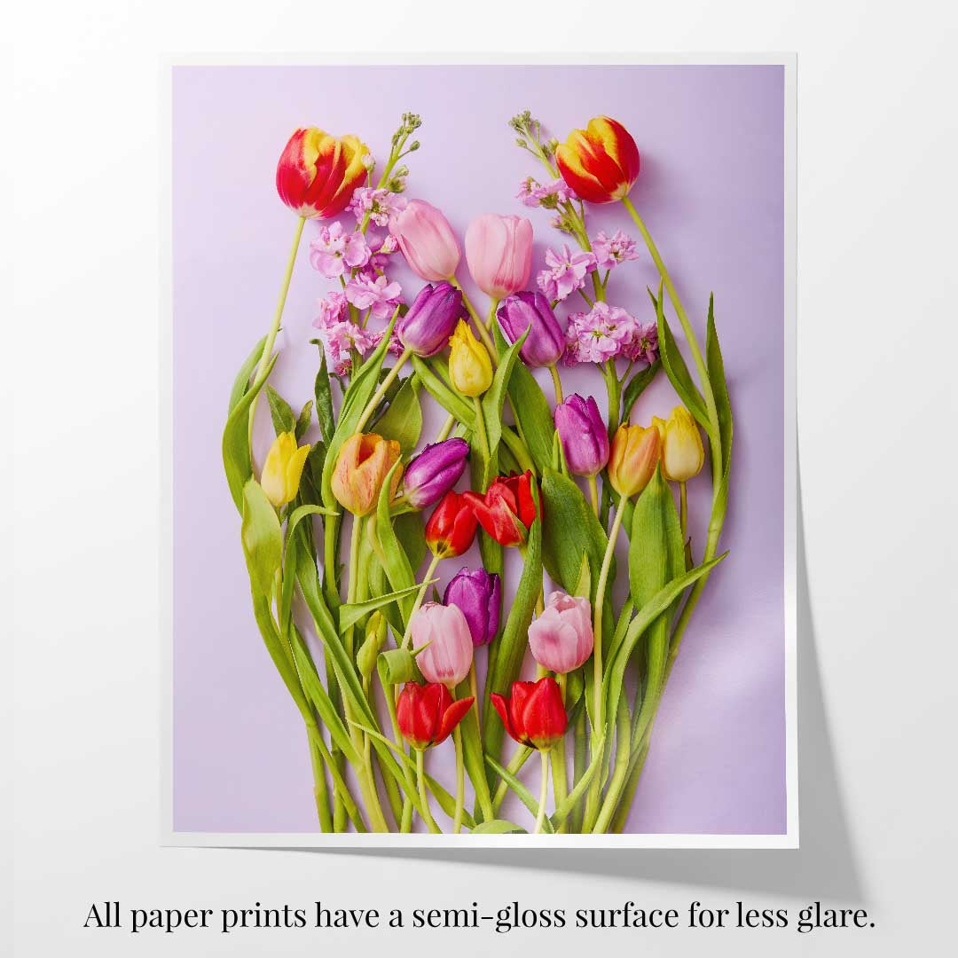 Tulip Garden