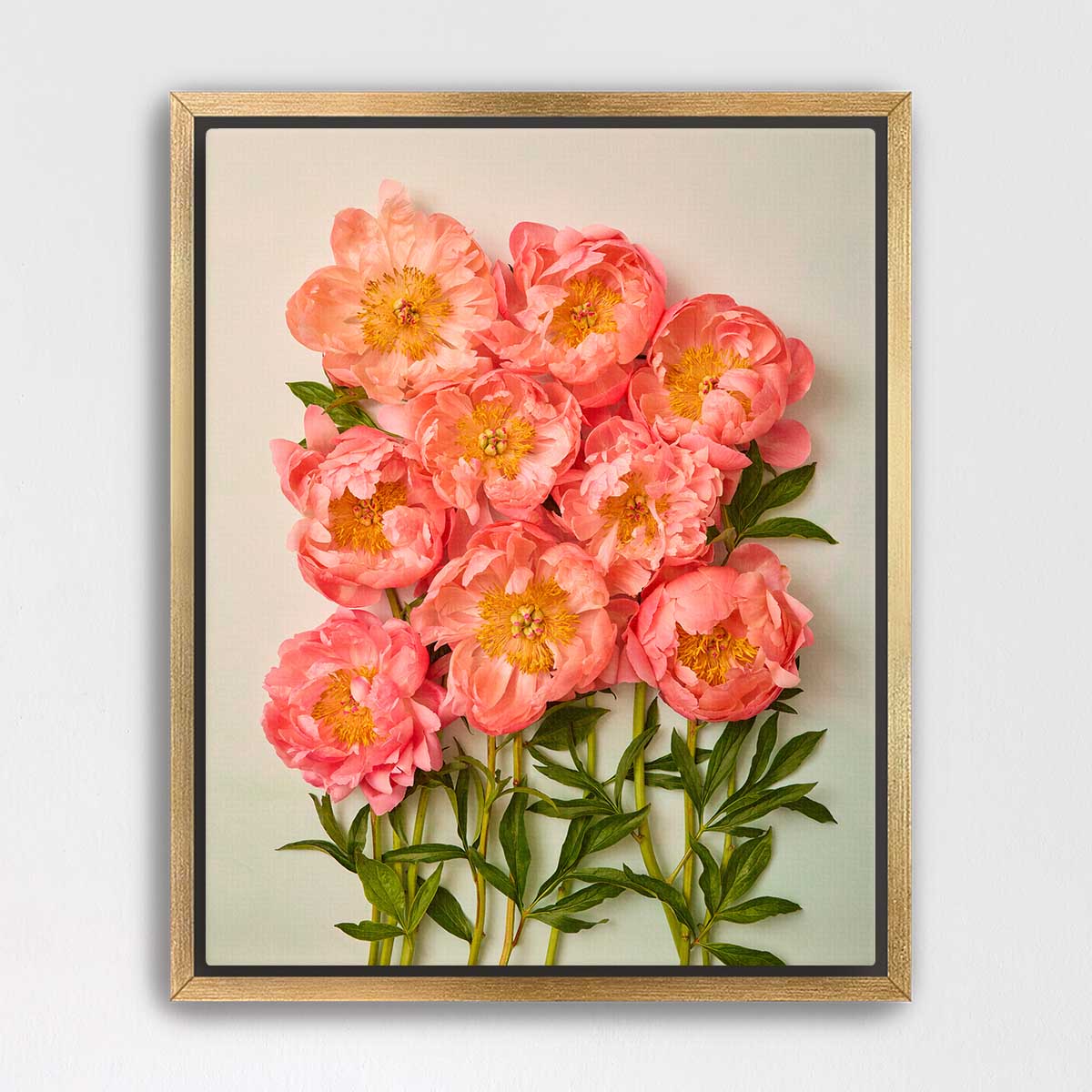 Coral Charm Garden