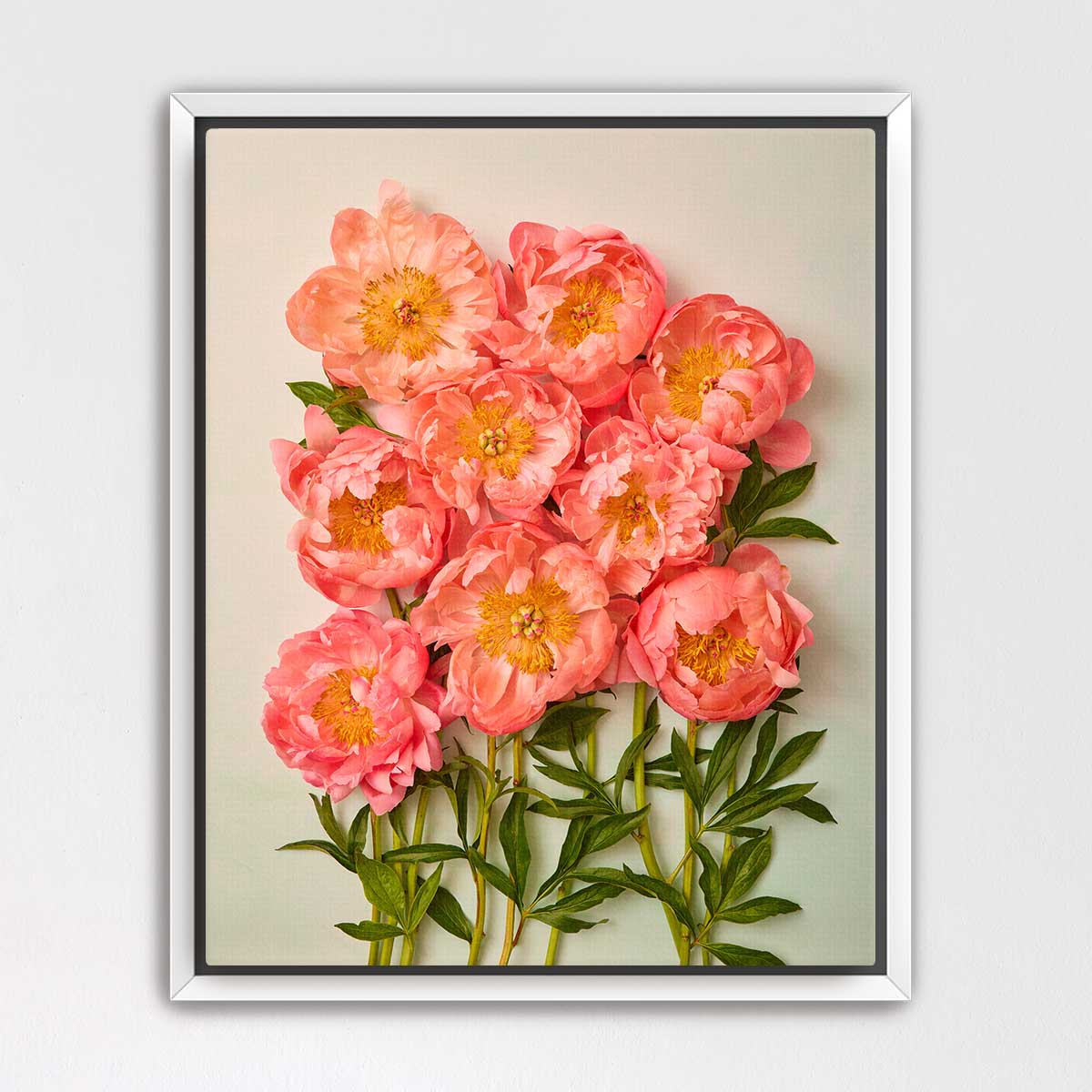 Coral Charm Garden