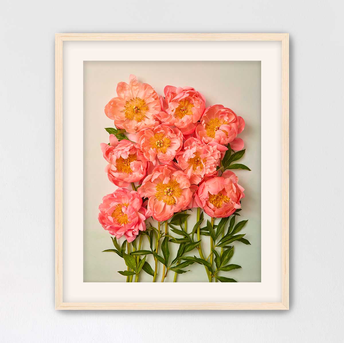 Coral Charm Garden
