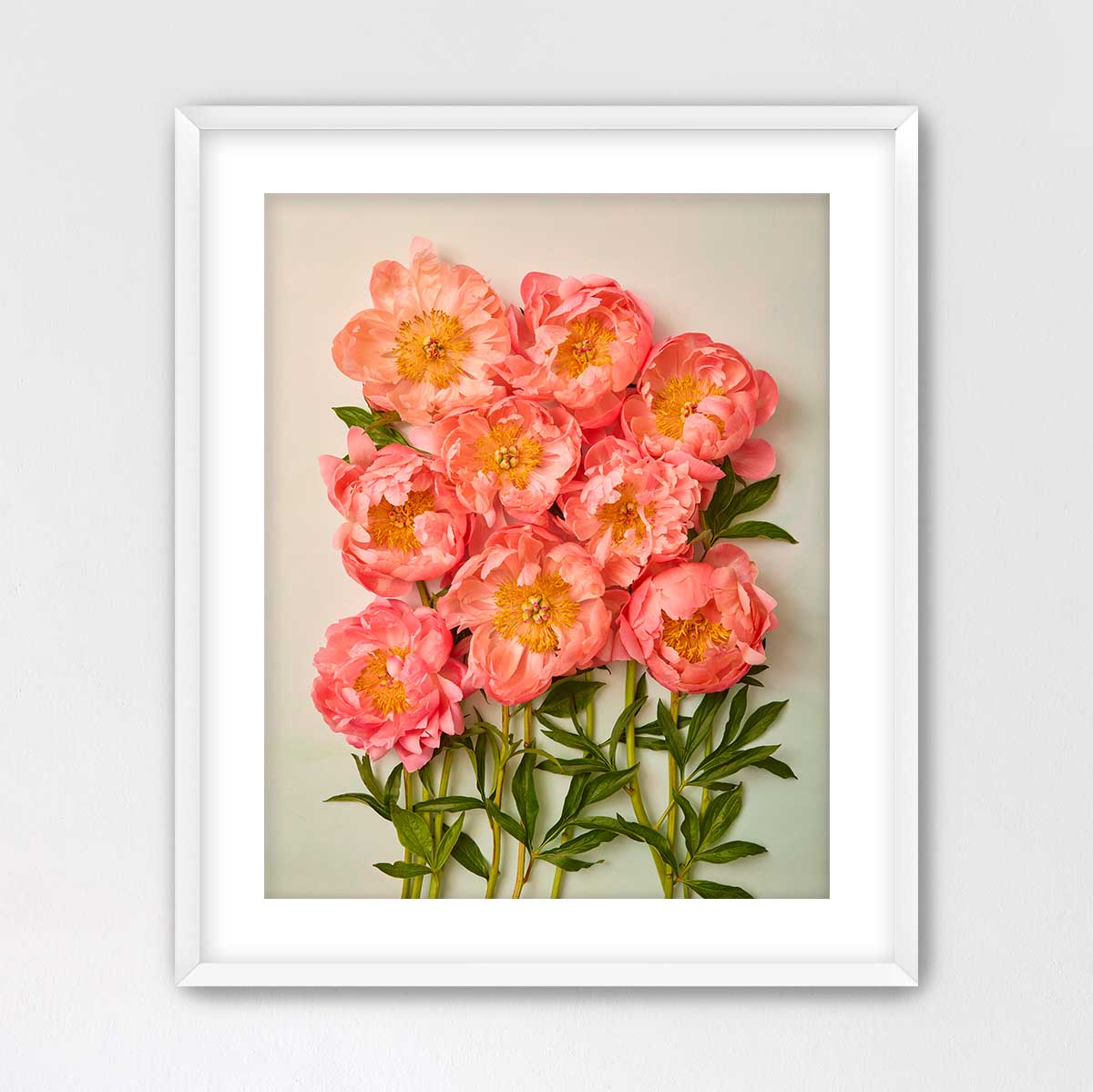 Coral Charm Garden