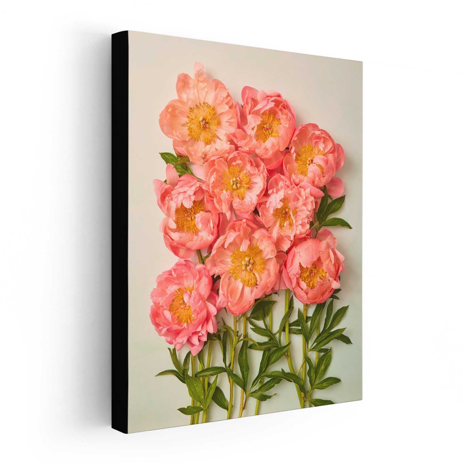 Coral Charm Garden