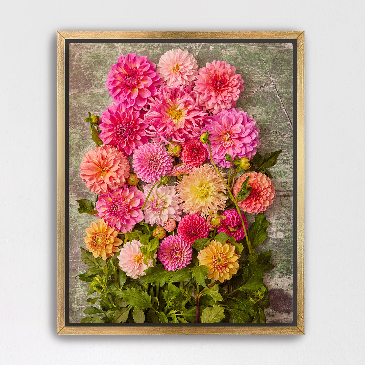 Dahlia Garden