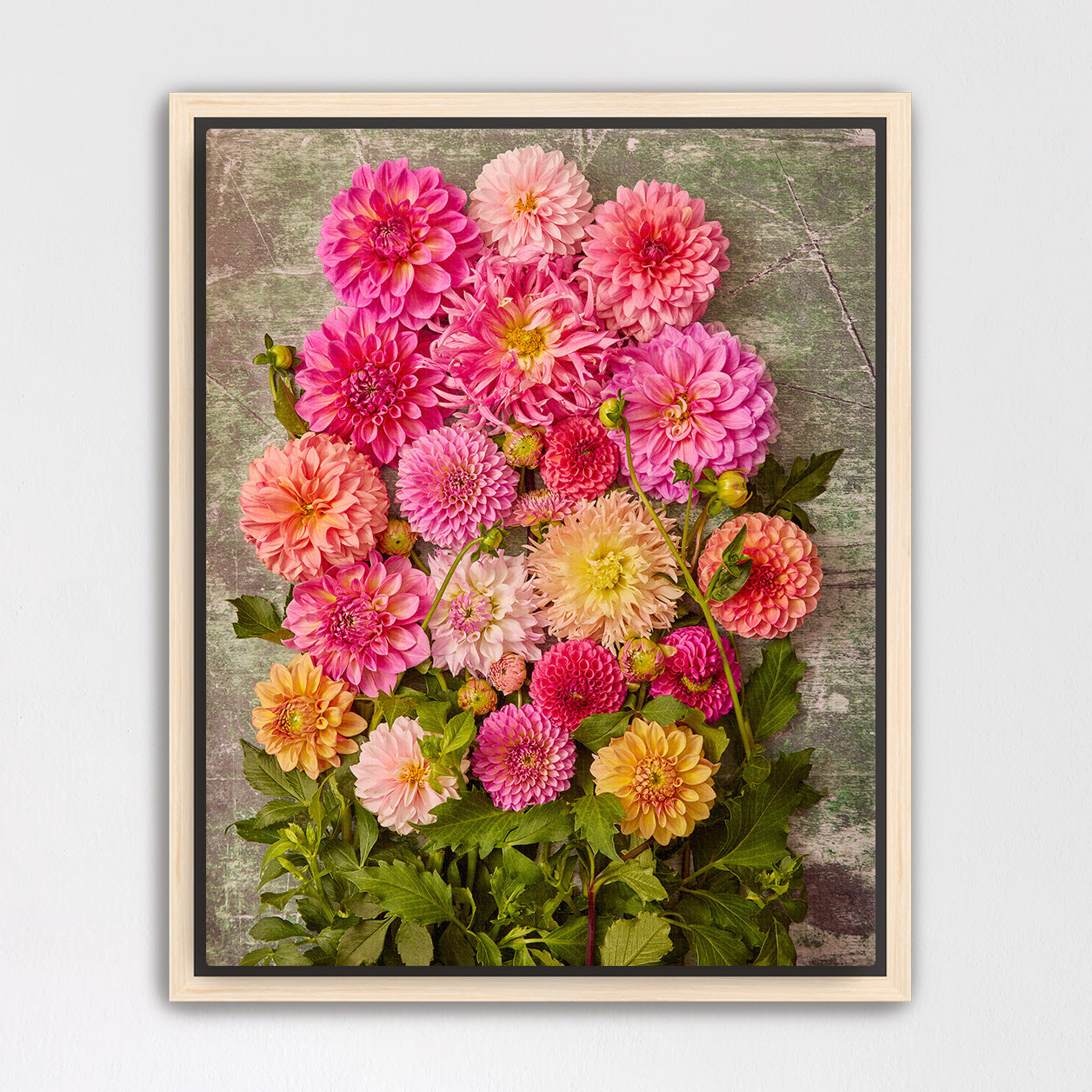 Dahlia Garden