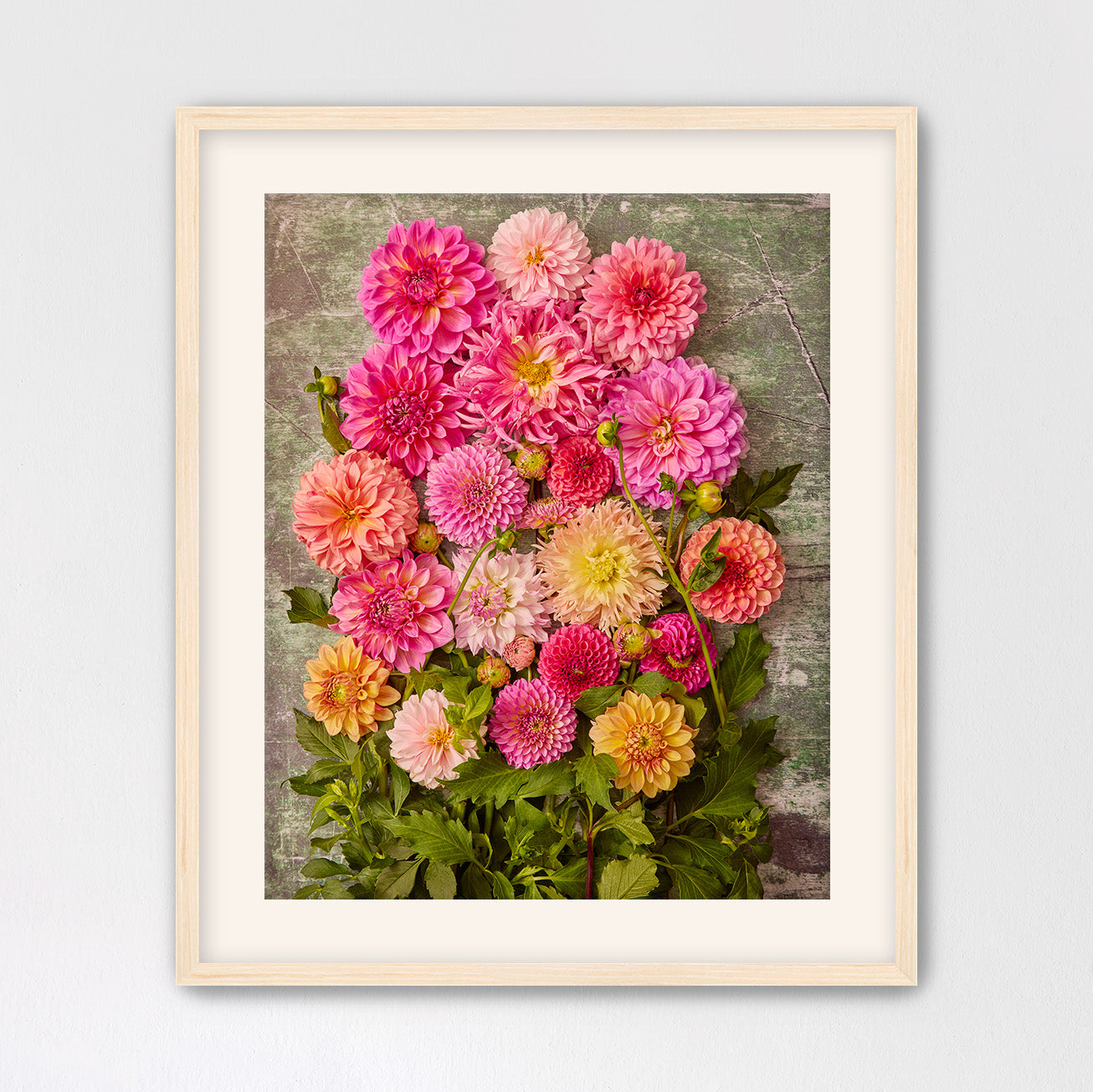 Dahlia Garden