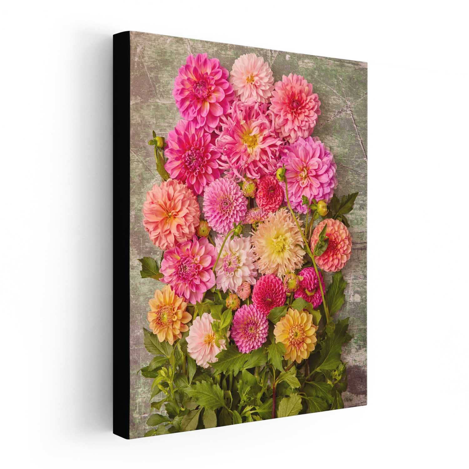 Dahlia Garden