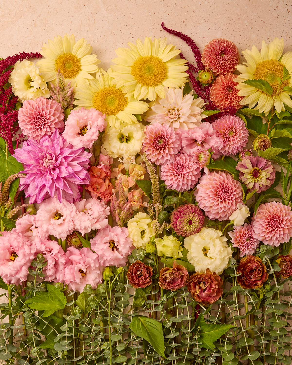 Summer Garden