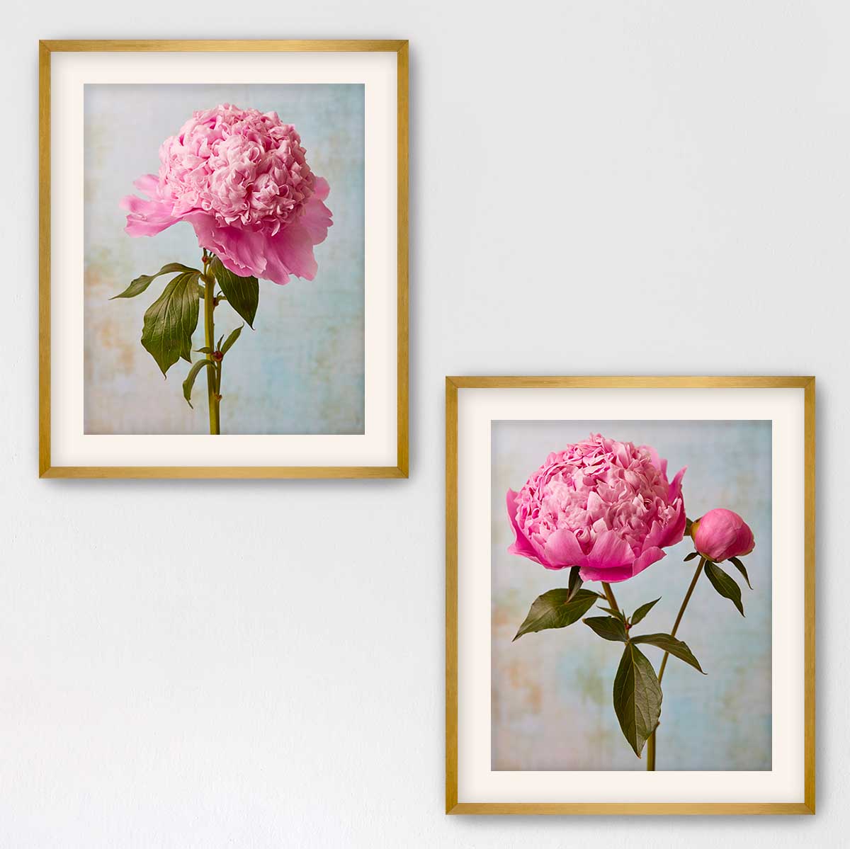 Peony Sister Duo