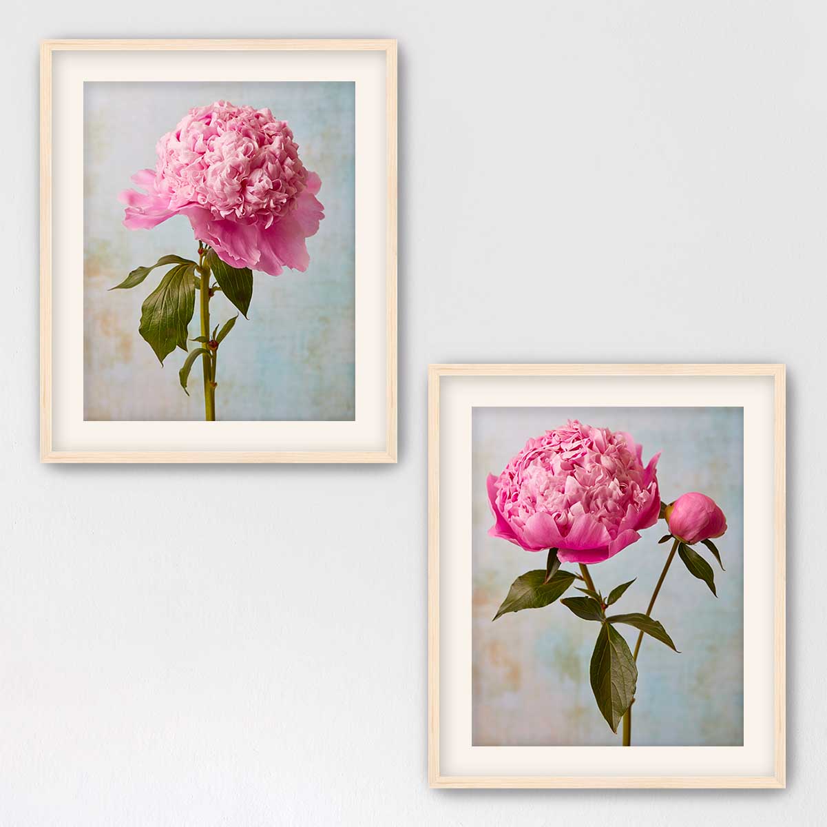 Peony Sister Duo