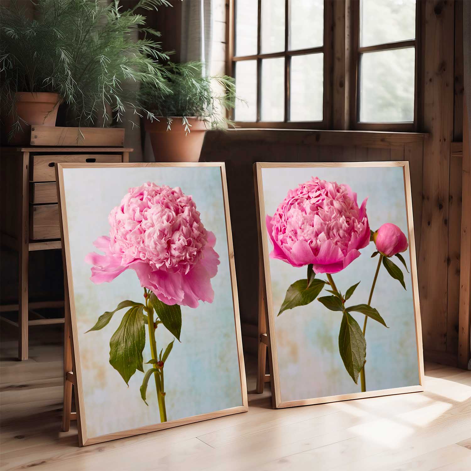 Peony Sister Duo
