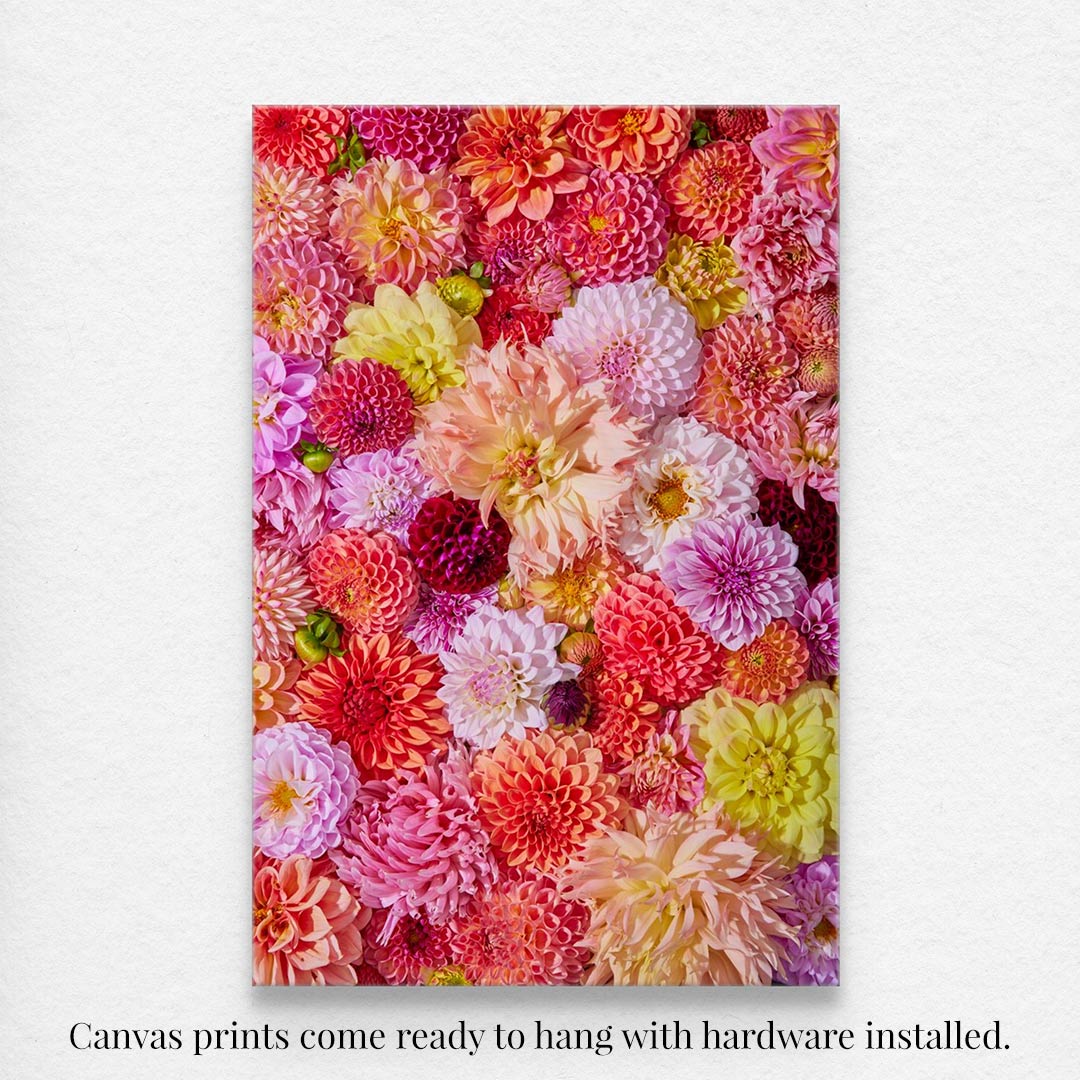 The Blooming Radiance canvas wall art features a vivid array of dahlias in pink, red, yellow, and orange, creating a lush garden-like texture. It comes ready to hang with hardware installed.