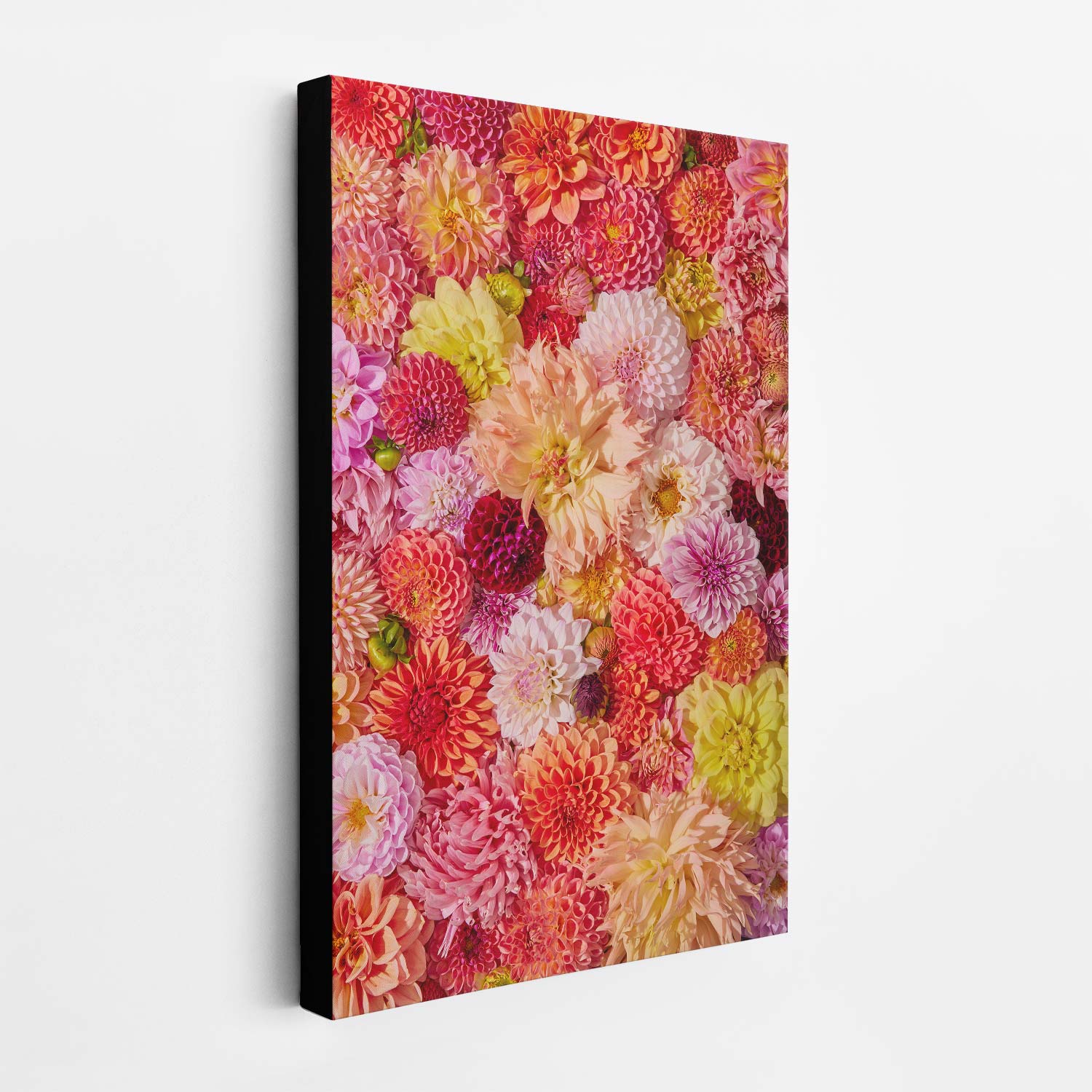 The Blooming Radiance is a rectangular canvas wall art featuring a vibrant floral pattern with pink, red, orange, and yellow dahlias that mimic lush flower beds against a white background.