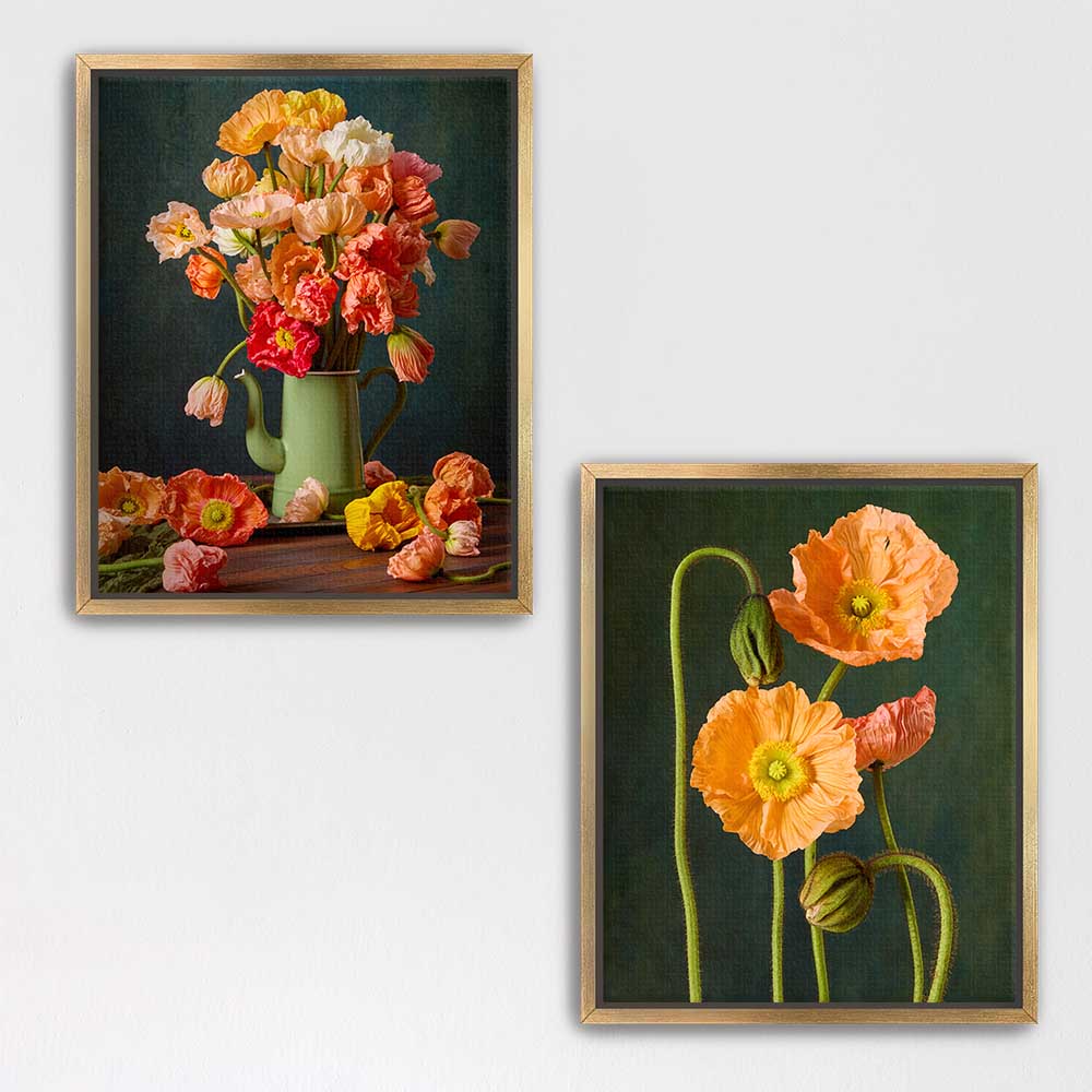 Poppy Passion Duo