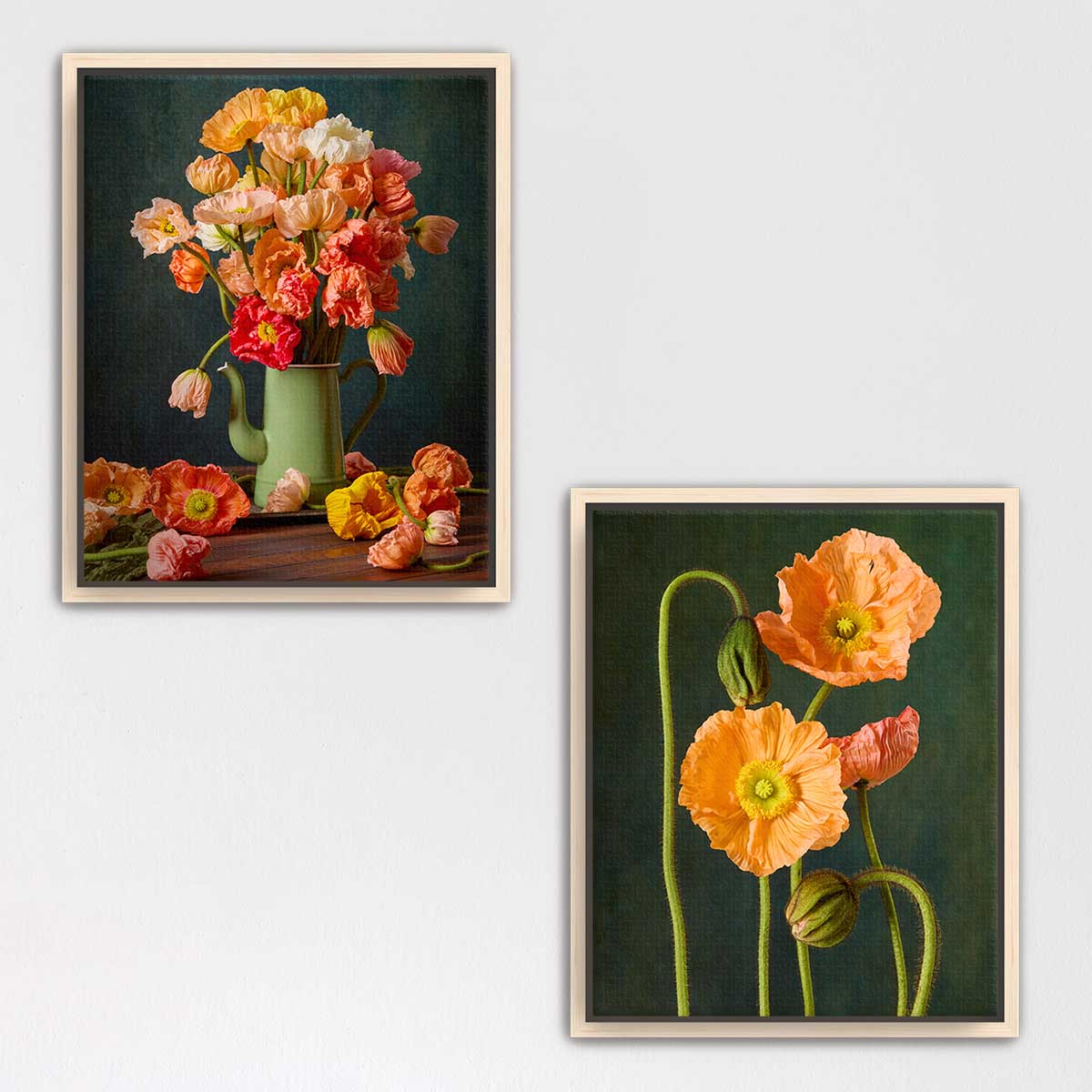 Poppy Passion Duo