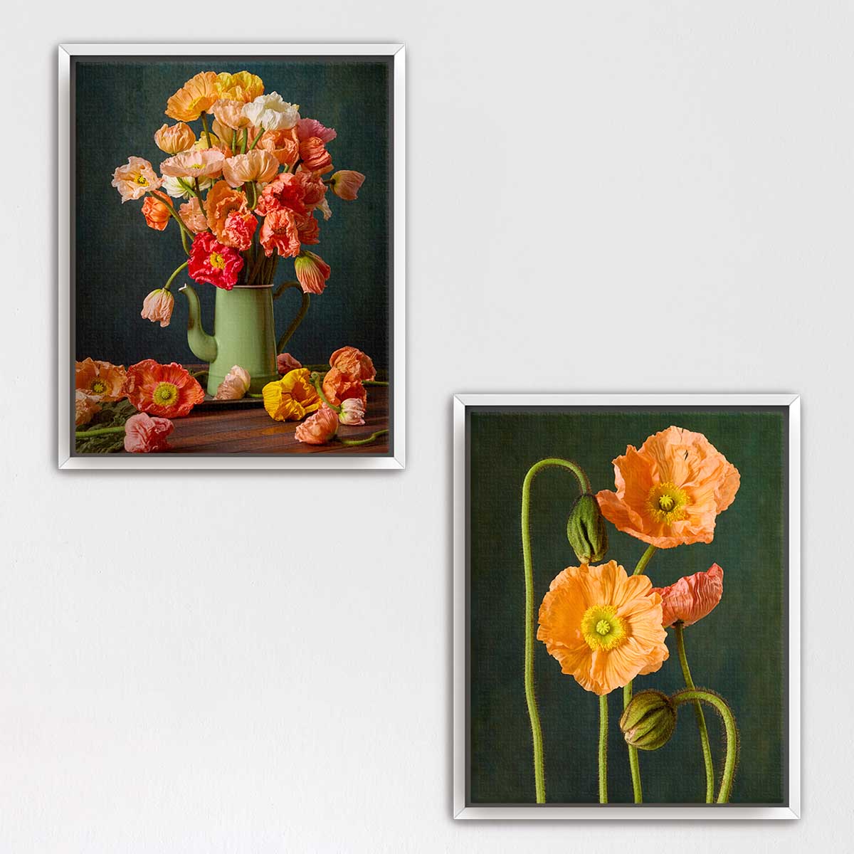 Poppy Passion Duo