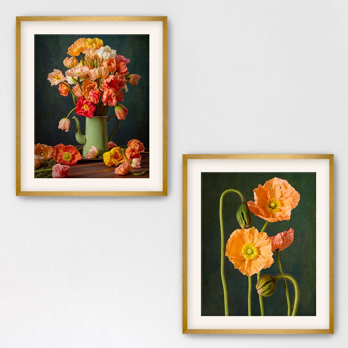 Poppy Passion Duo